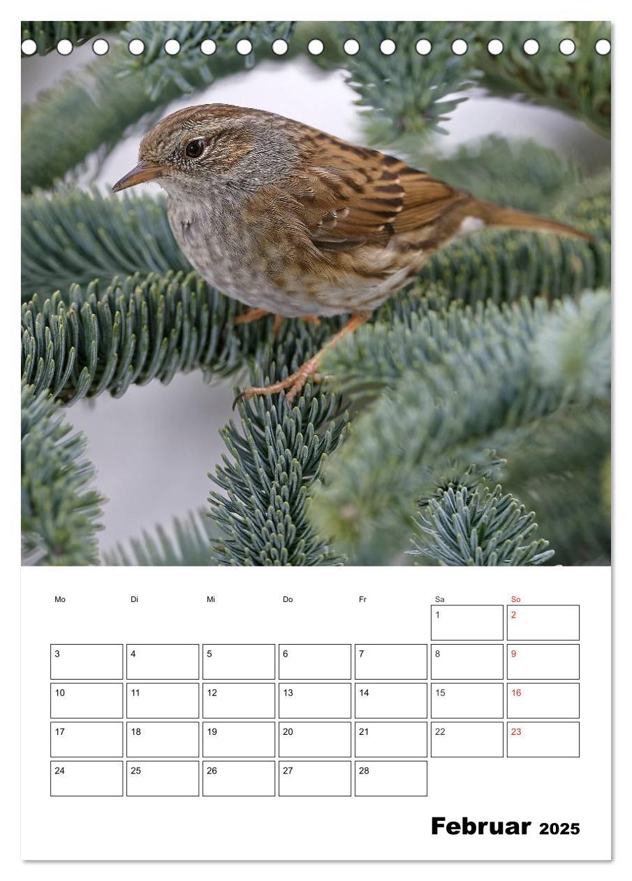 Bild: 9783457007334 | Bezaubernde Vögel im heimischen Garten (Tischkalender 2025 DIN A5...