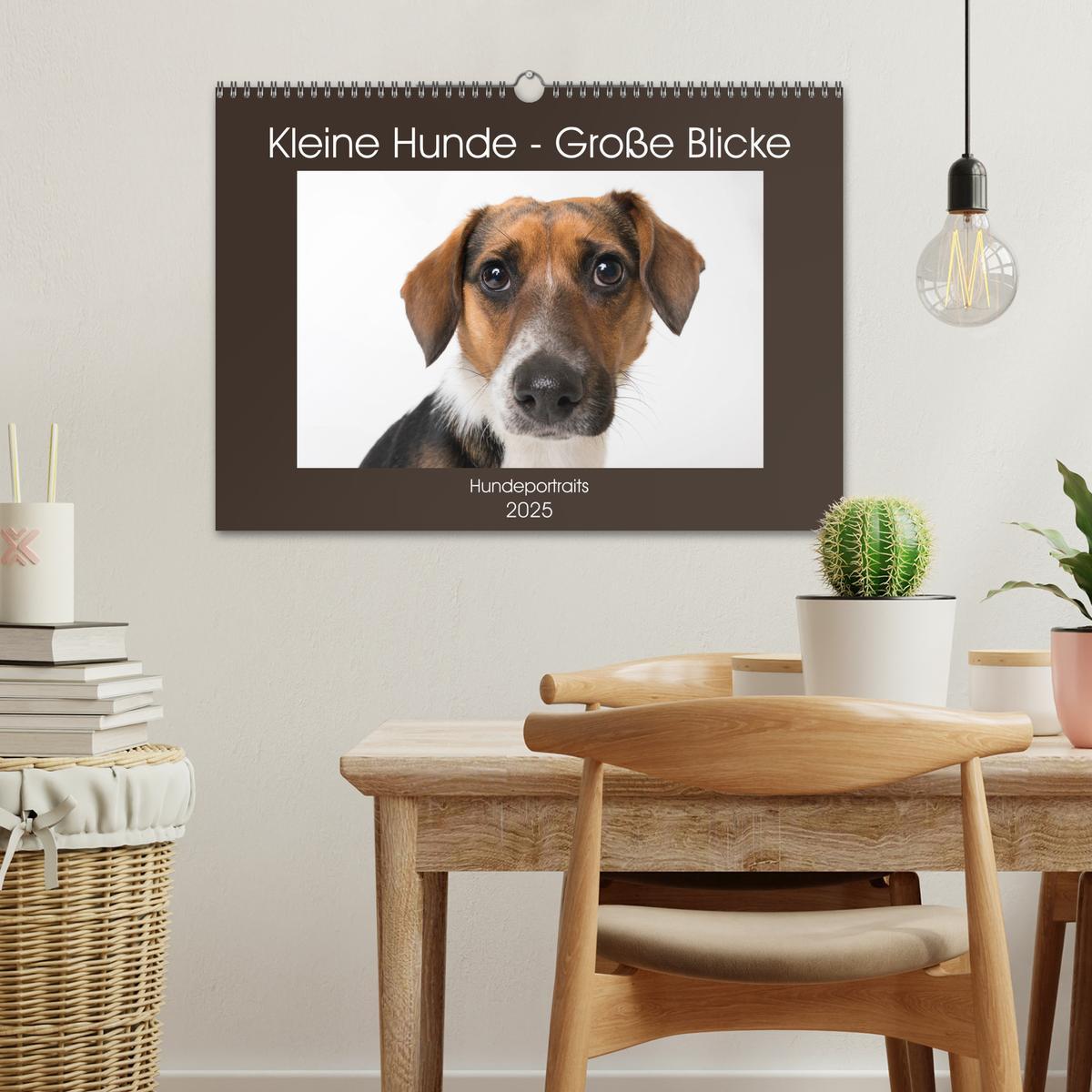 Bild: 9783435254682 | Kleine Hunde - Große Blicke (Wandkalender 2025 DIN A3 quer),...