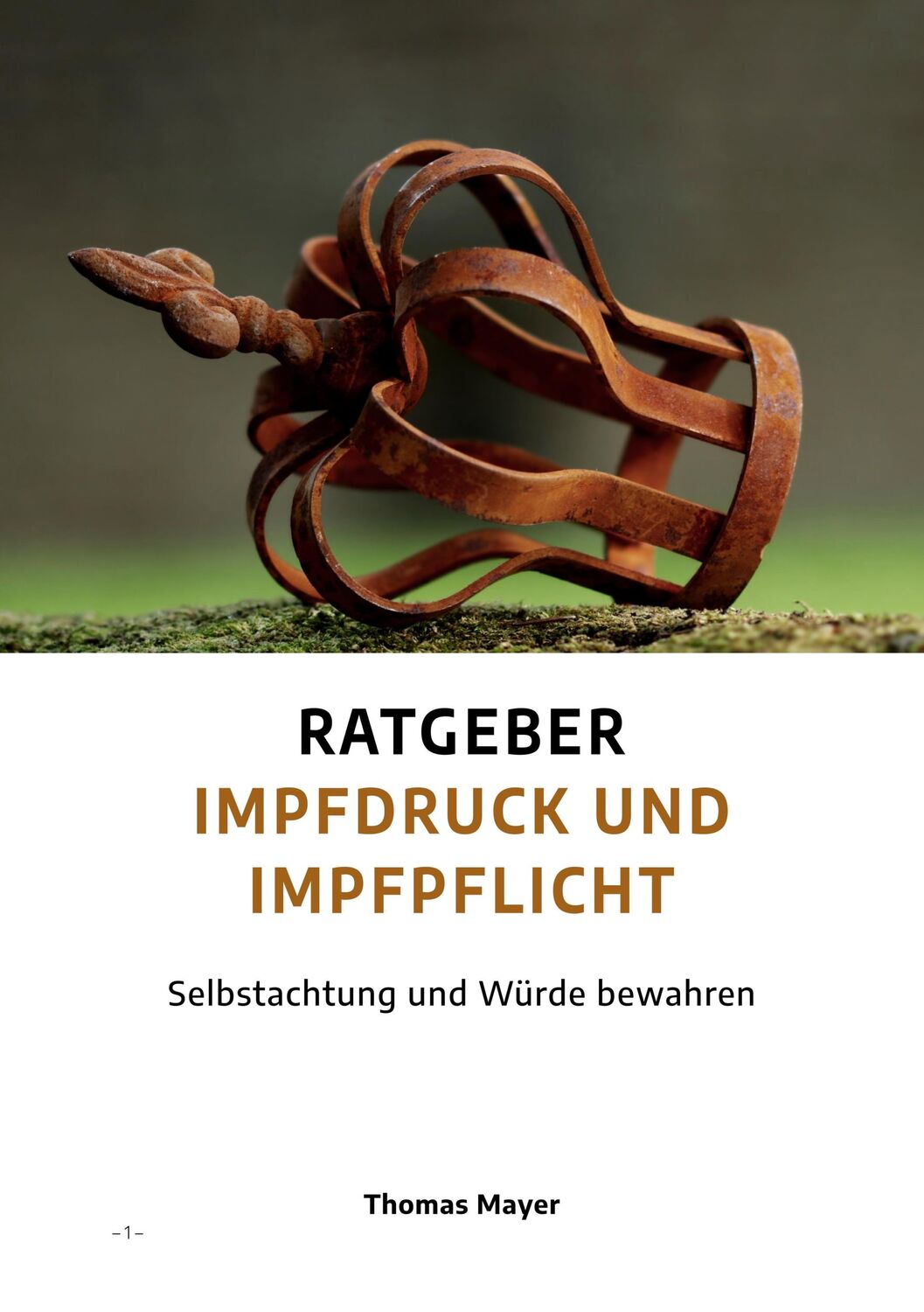 Cover: 9783890608273 | Ratgeber Impfdruck und Impfpflicht | Selbstachtung und Würde bewahren