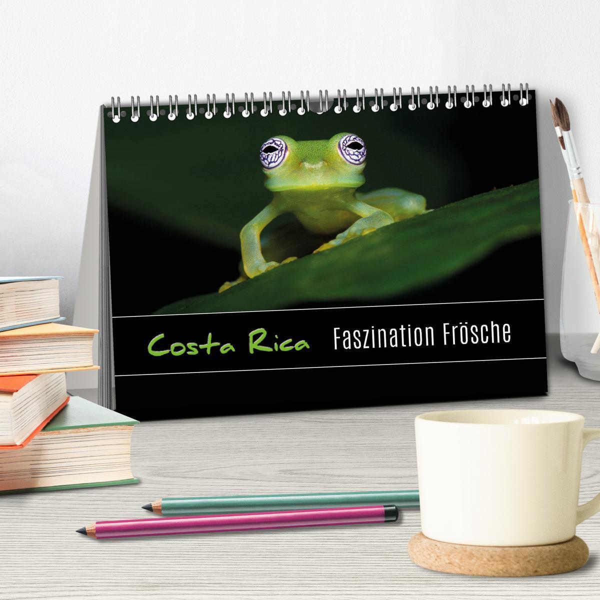 Bild: 9783435490240 | Costa Rica - Faszination Frösche (Tischkalender 2025 DIN A5 quer),...