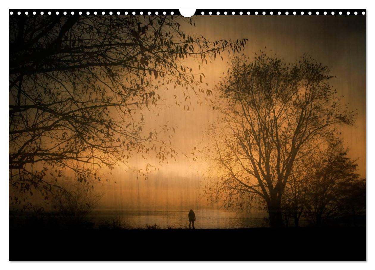 Bild: 9783435707508 | Sehnsucht der Natur (Wandkalender 2025 DIN A3 quer), CALVENDO...