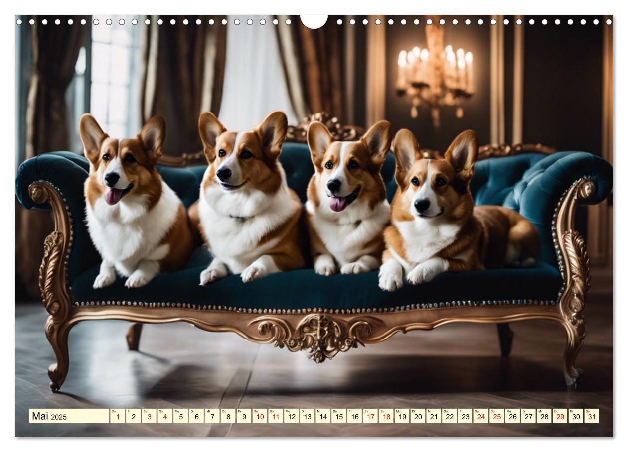 Bild: 9783435244447 | Welsh Corgi Pembroke (Wandkalender 2025 DIN A3 quer), CALVENDO...