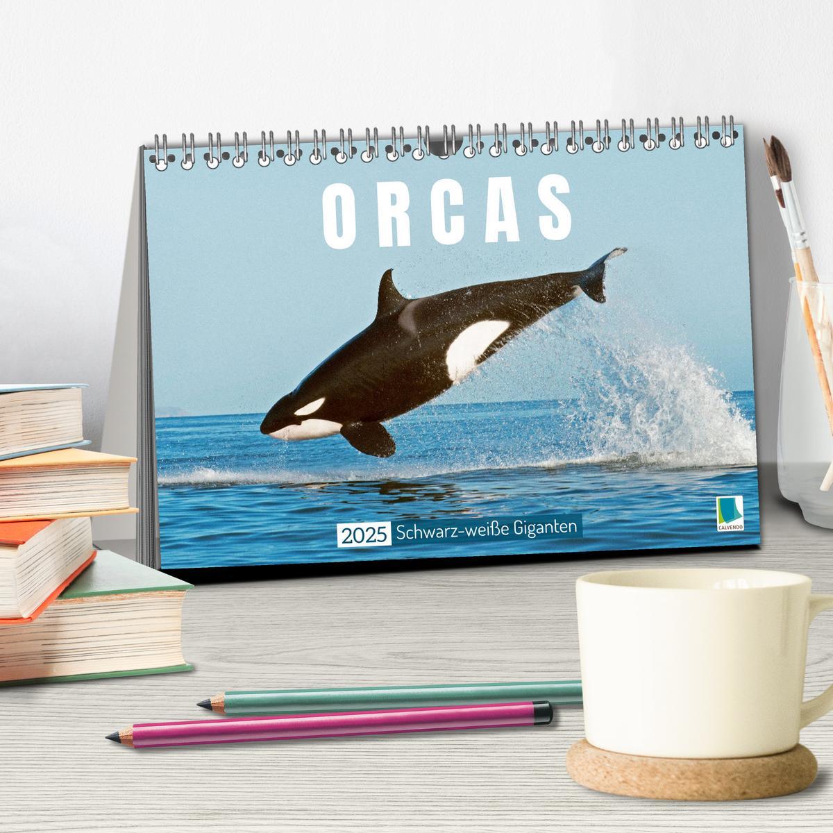 Bild: 9783383866050 | Orcas: Schwarz-weiße Giganten (Tischkalender 2025 DIN A5 quer),...