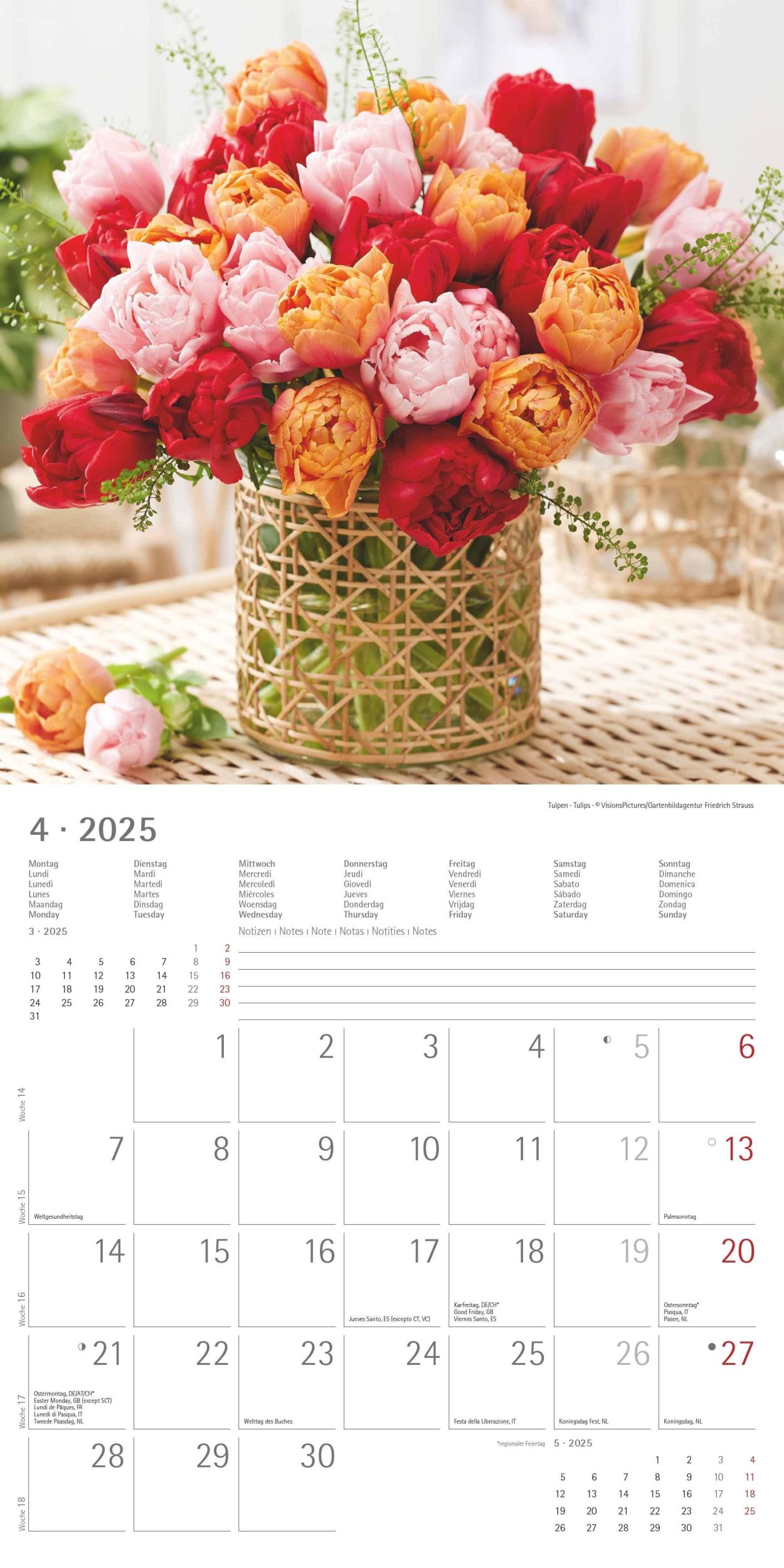 Bild: 4251732340612 | Blumen 2025 - Broschürenkalender 30x30 cm (30x60 geöffnet) -...