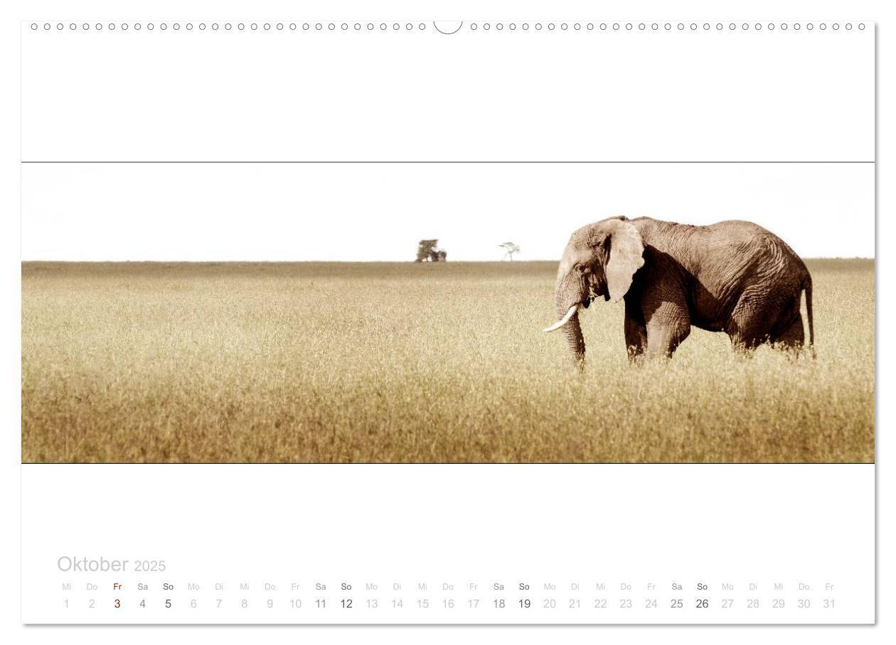 Bild: 9783435685547 | Serengeti Panorama (hochwertiger Premium Wandkalender 2025 DIN A2...