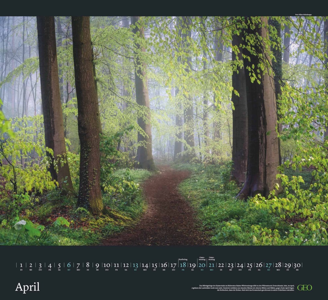 Bild: 4002725988683 | GEO - Sehnsucht Wald Wandkalender 2025 - Eindrucksvoller...