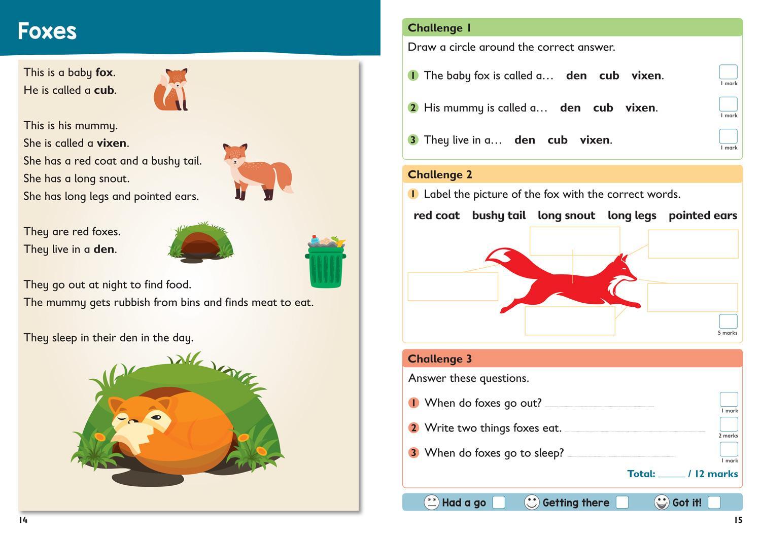 Bild: 9780008467555 | Year 1 Reading Comprehension Targeted Practice Workbook | Collins Ks1