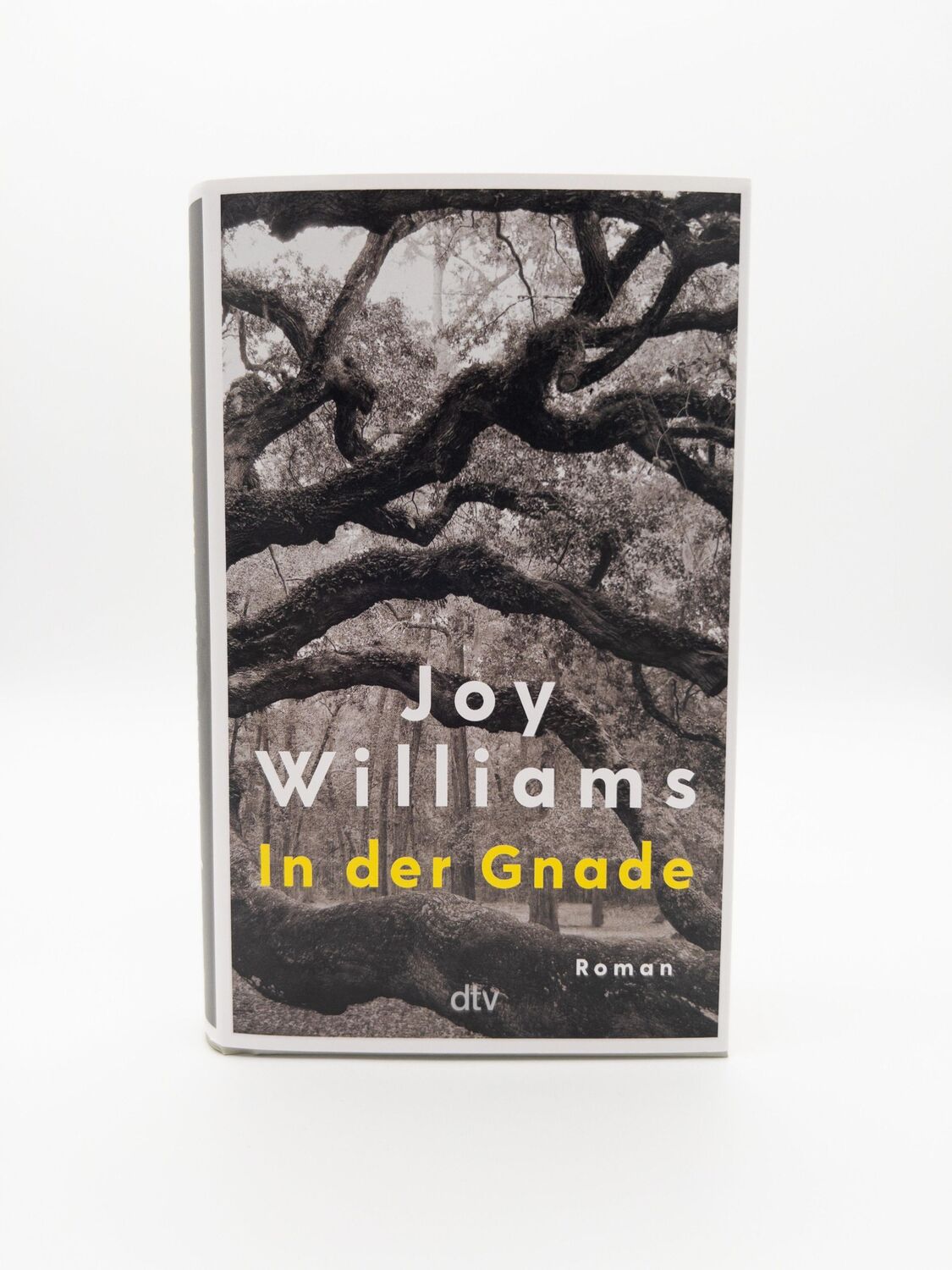 Bild: 9783423283991 | In der Gnade | Joy Williams | Buch | 336 S. | Deutsch | 2024