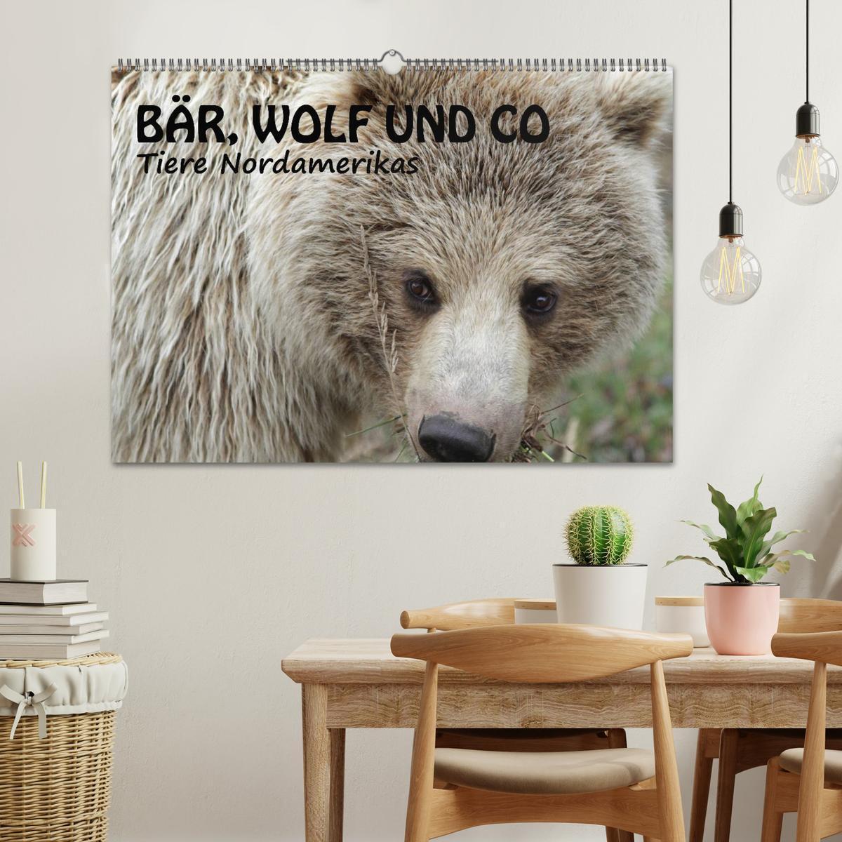 Bild: 9783435630899 | Bär, Wolf und Co - Tiere Nordamerikas (Wandkalender 2025 DIN A2...