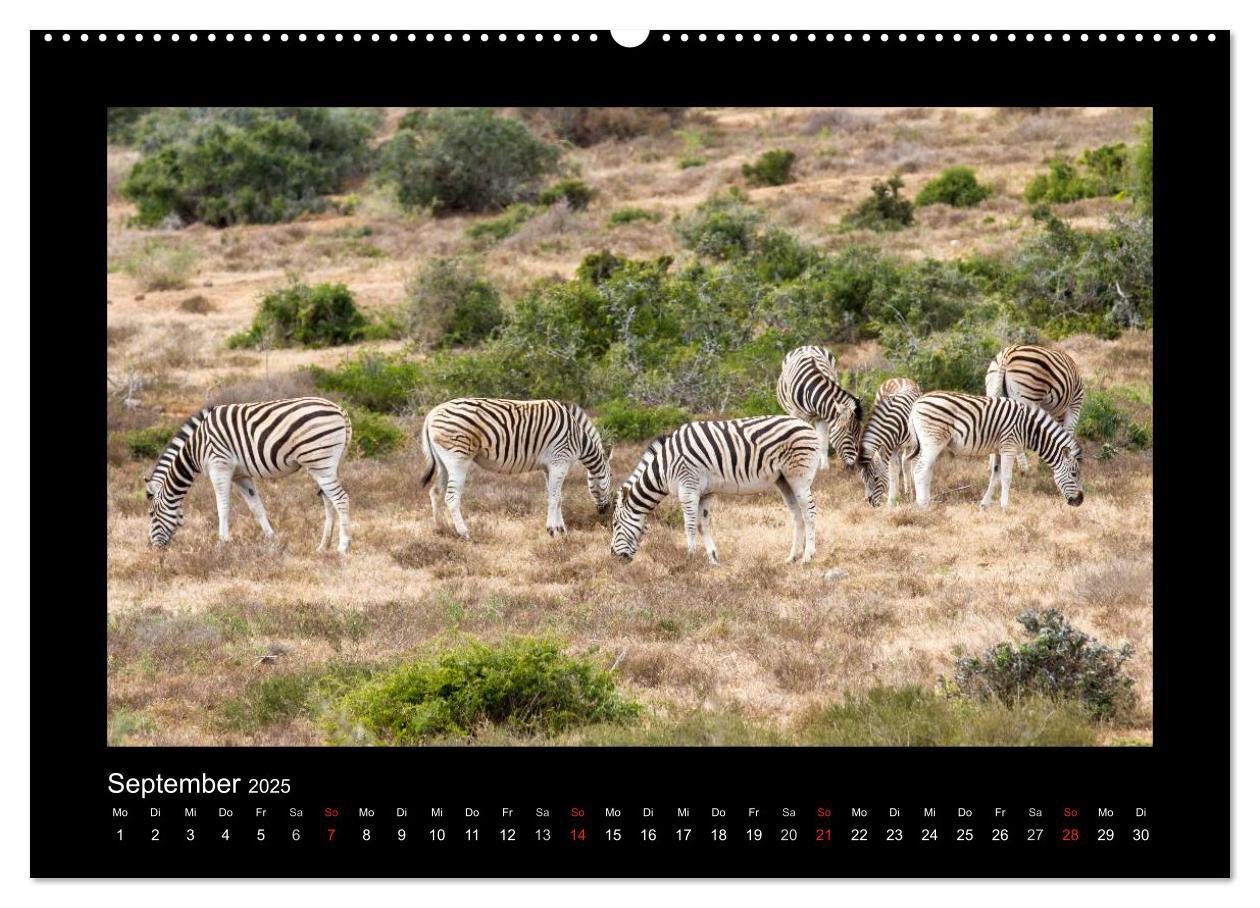 Bild: 9783435702428 | Südafrika - Garden Route (hochwertiger Premium Wandkalender 2025...