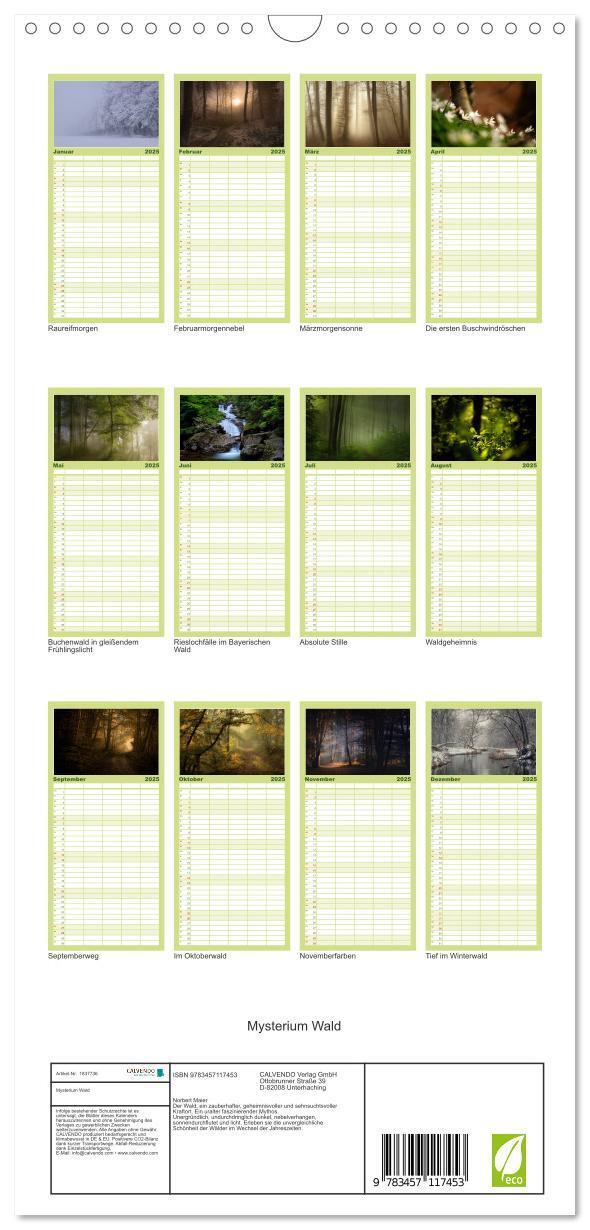 Bild: 9783457117453 | Familienplaner 2025 - Mysterium Wald mit 5 Spalten (Wandkalender,...