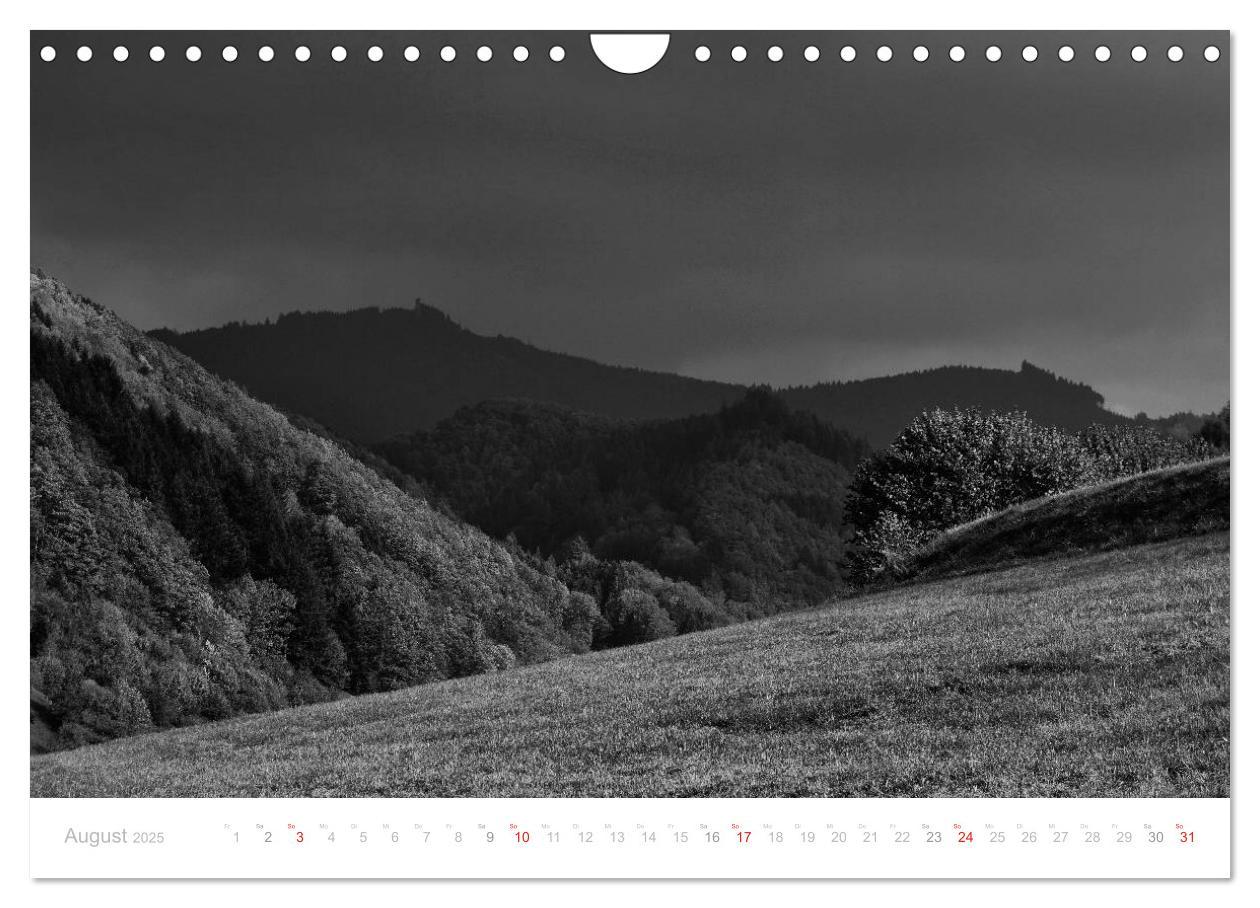 Bild: 9783435514885 | Mystischer Schwarzwald (Wandkalender 2025 DIN A4 quer), CALVENDO...