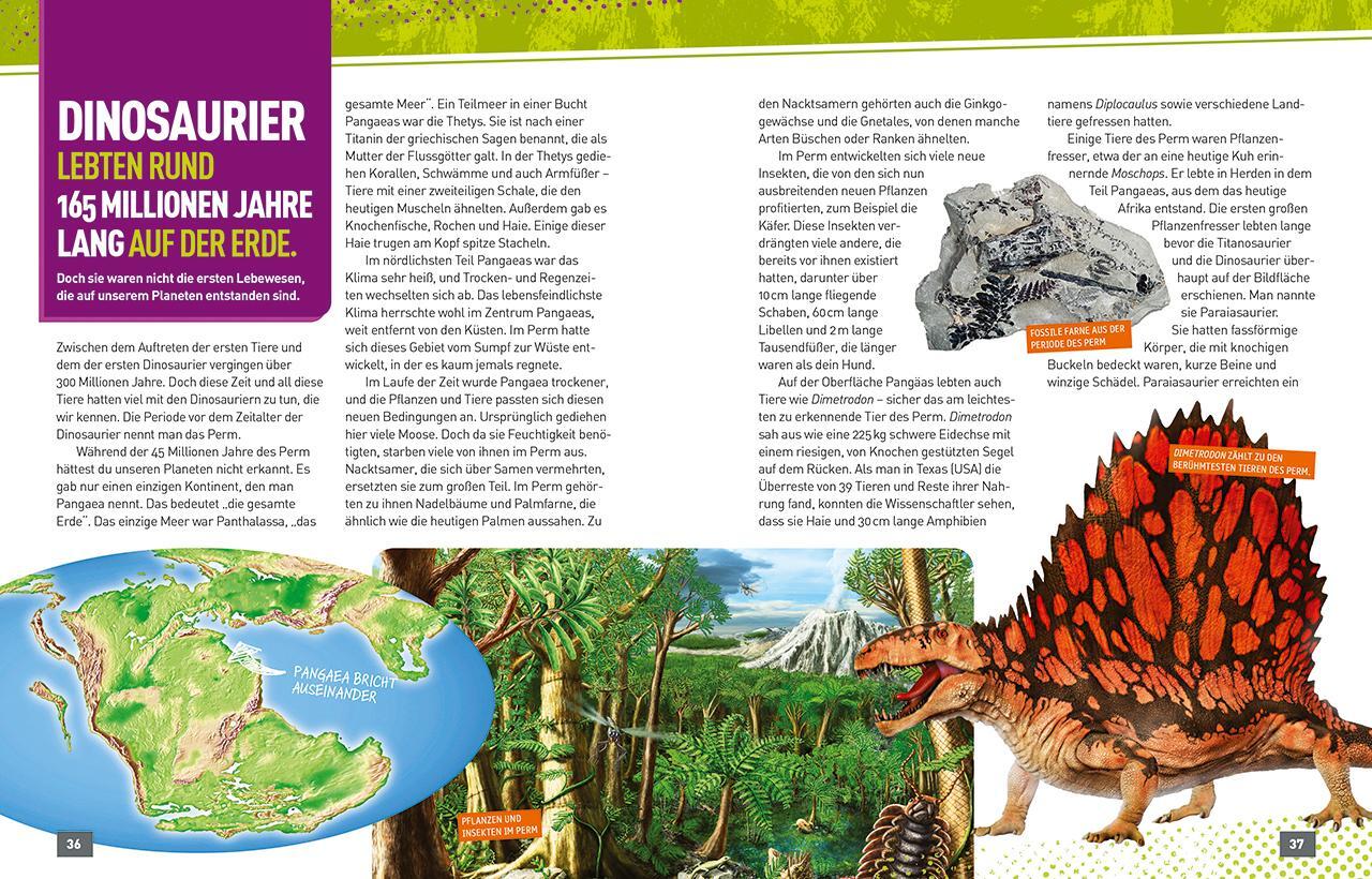 Bild: 9788854040793 | Superexperte: Dinosaurier | National Geographic Kids | Lela Nargi