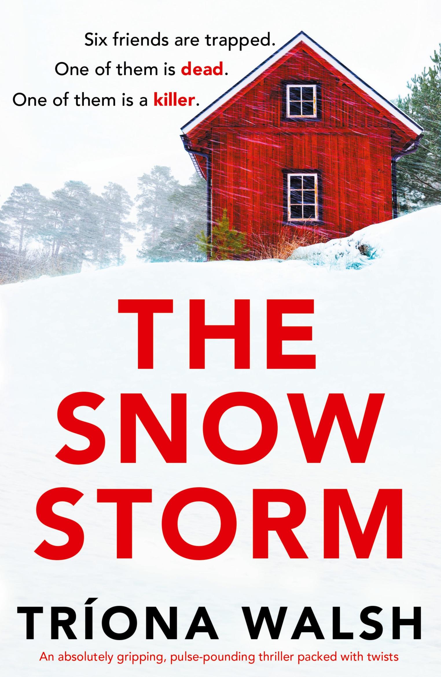 Cover: 9781803148502 | The Snowstorm | Tríona Walsh | Taschenbuch | Englisch | 2023