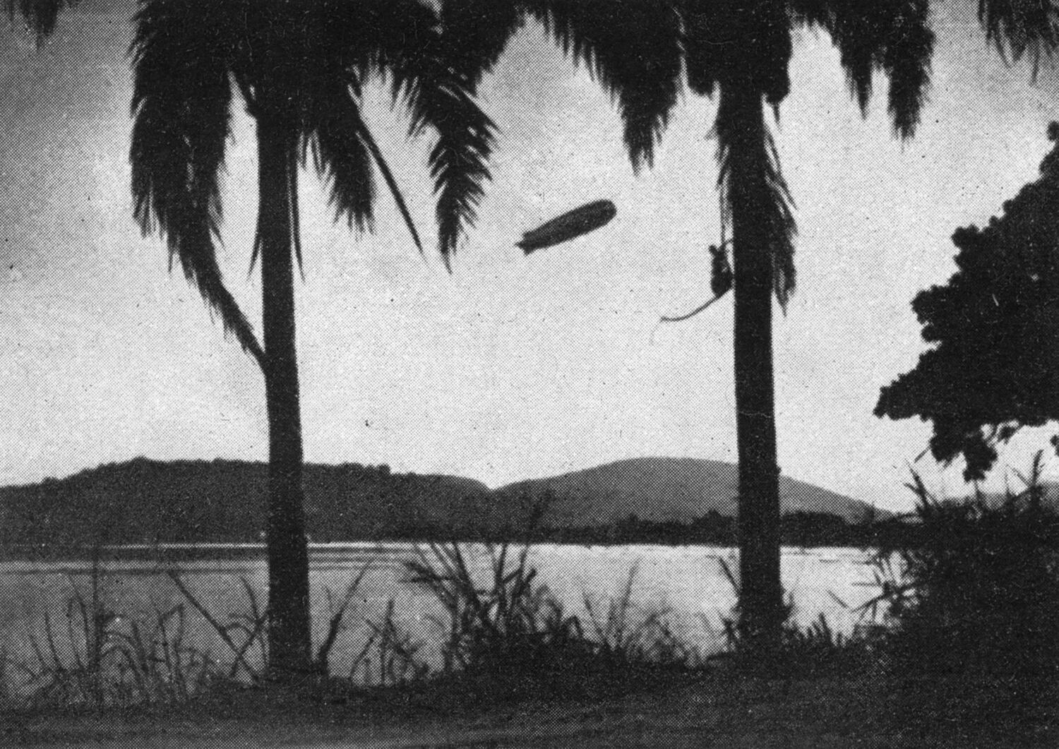 Bild: 9783963453311 | Mit Graf Zeppelin und Kondor-Flugzeugen nach Brasilien! | Sonntag