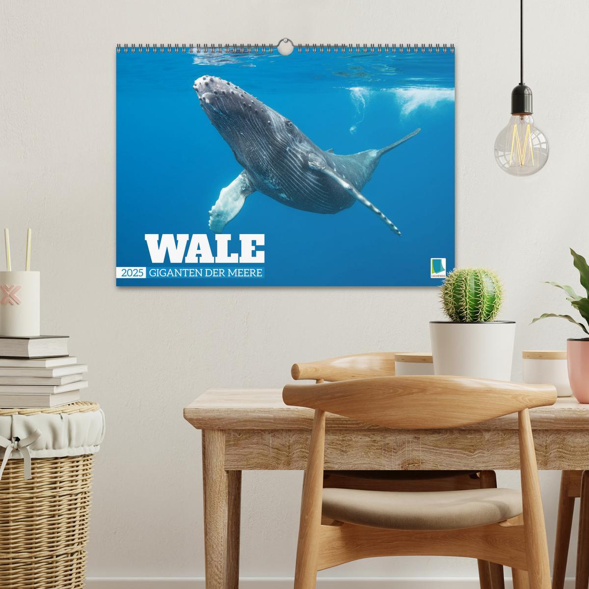 Bild: 9783383864636 | Wale: Giganten der Meere (Wandkalender 2025 DIN A3 quer), CALVENDO...