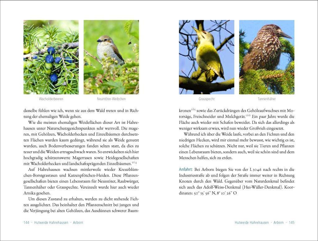 Bild: 9783957990587 | 50 sagenhafte Naturdenkmale in Hessen | Martina D'Ascola | Taschenbuch