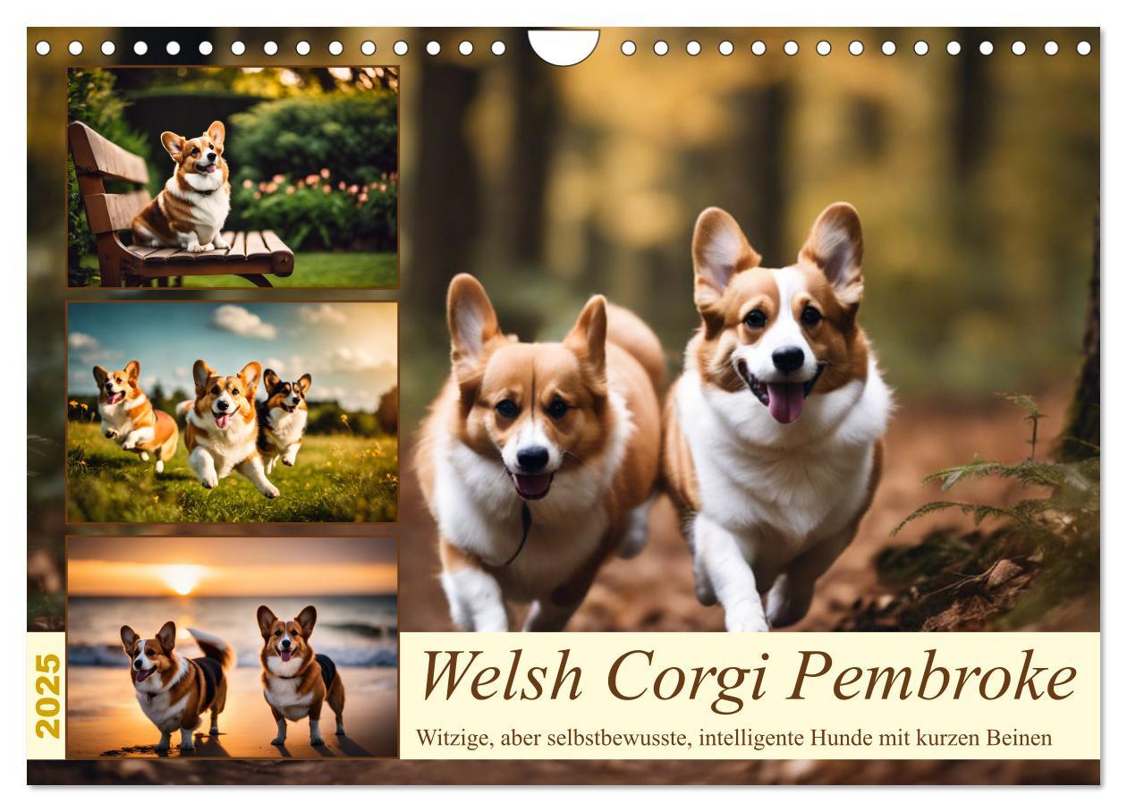 Cover: 9783435241026 | Welsh Corgi Pembroke (Wandkalender 2025 DIN A4 quer), CALVENDO...