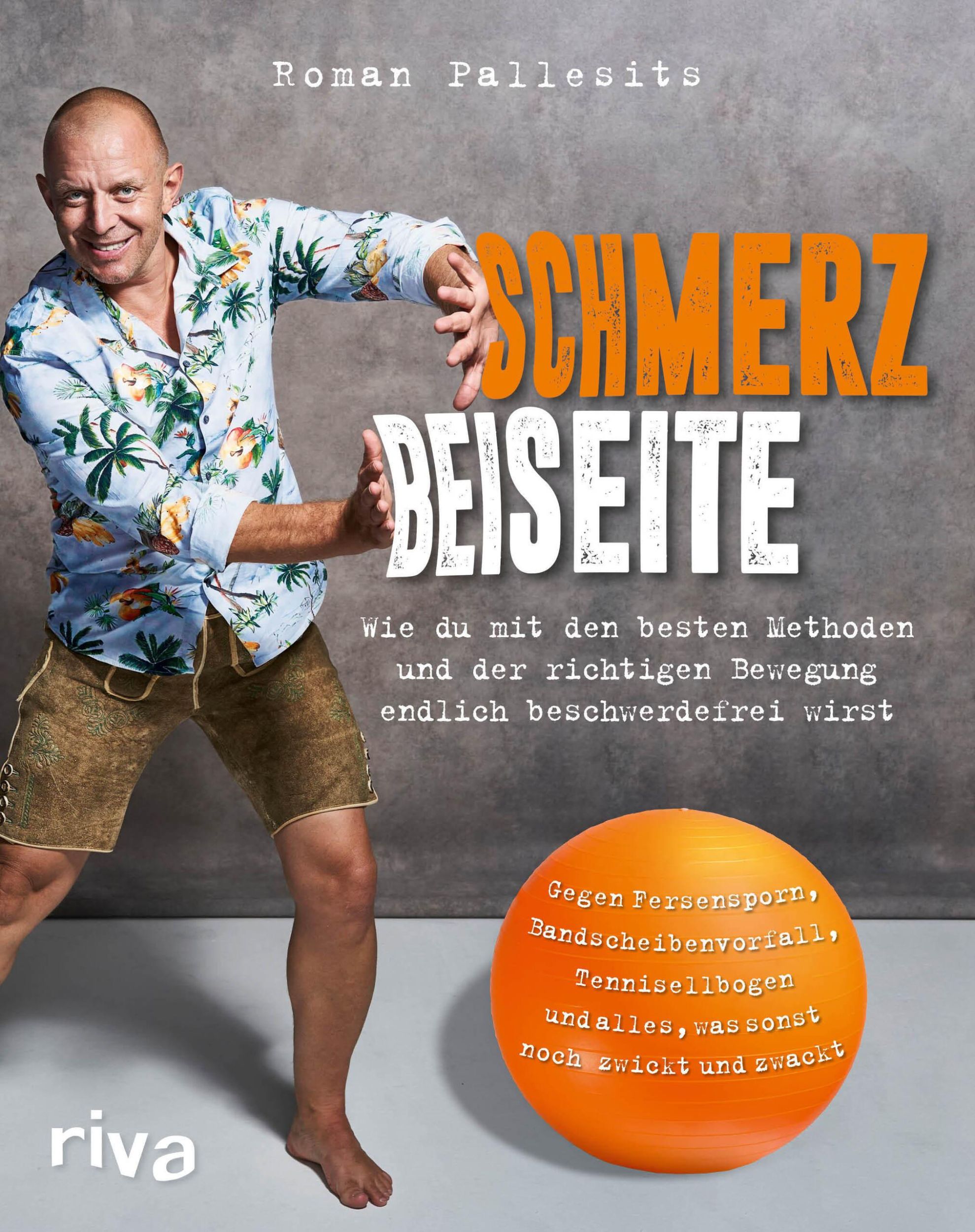 Cover: 9783742315403 | Schmerz beiseite | Roman Pallesits | Taschenbuch | 4-farbig | 272 S.