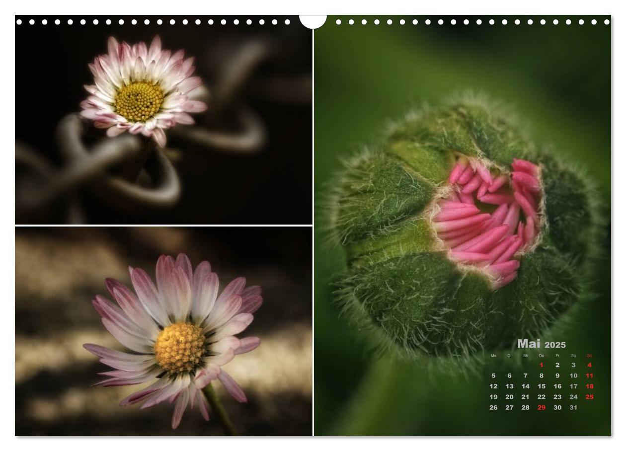 Bild: 9783435612109 | Blumenreise 2025 (Wandkalender 2025 DIN A3 quer), CALVENDO...