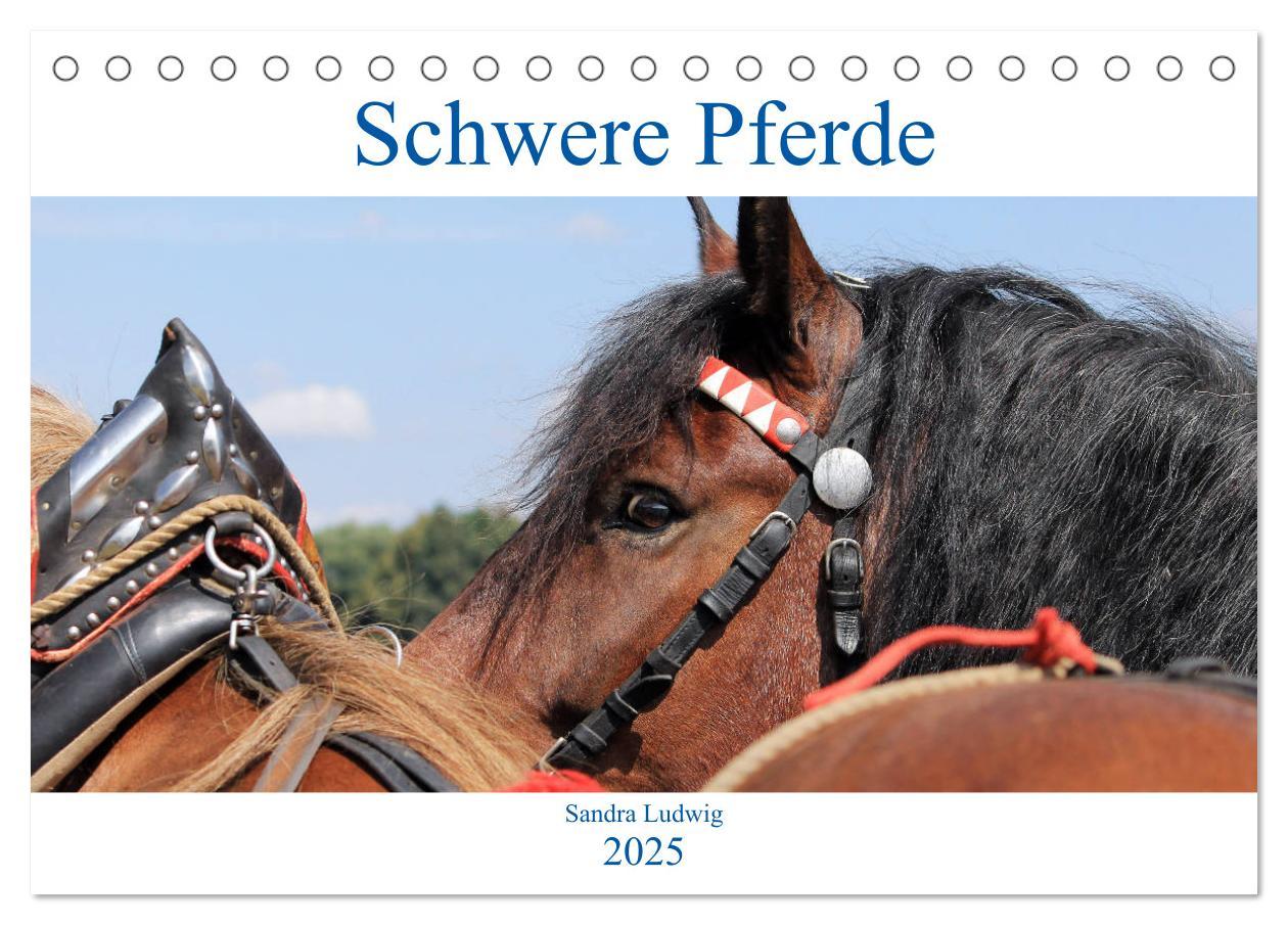 Cover: 9783435387397 | Schwere Pferde 2025 (Tischkalender 2025 DIN A5 quer), CALVENDO...