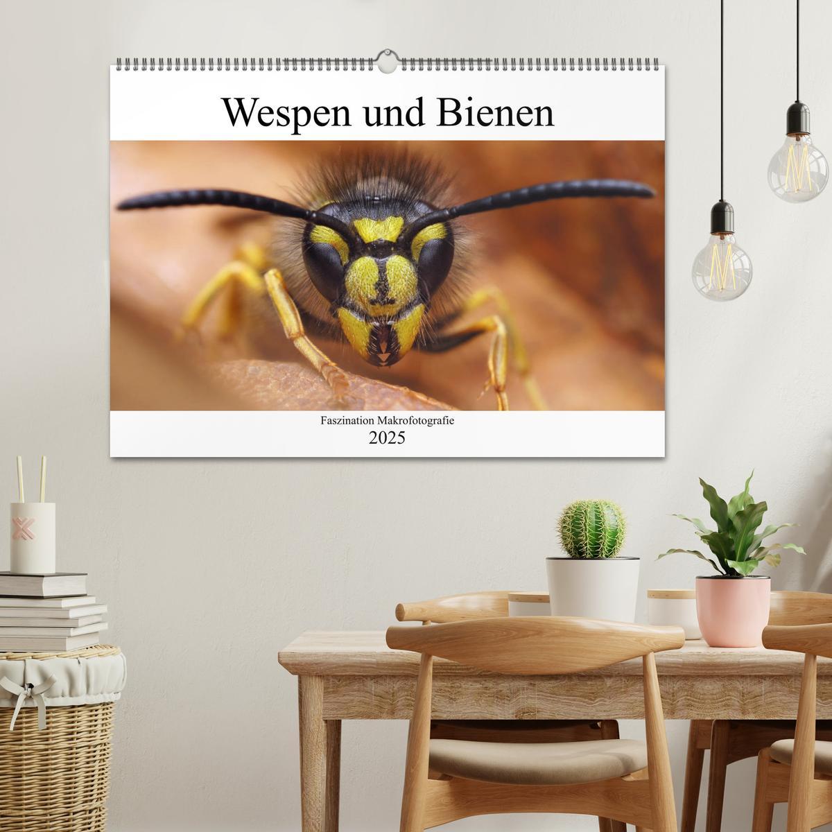 Bild: 9783435340002 | Faszination Makrofotografie: Wespen und Bienen (Wandkalender 2025...