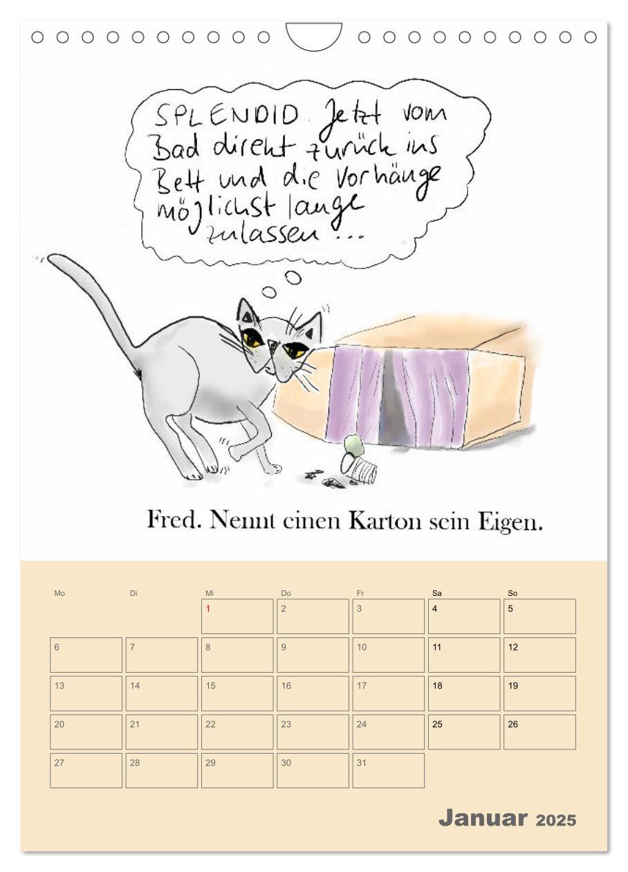 Bild: 9783457220238 | Therapie.Katzen (Wandkalender 2025 DIN A4 hoch), CALVENDO...