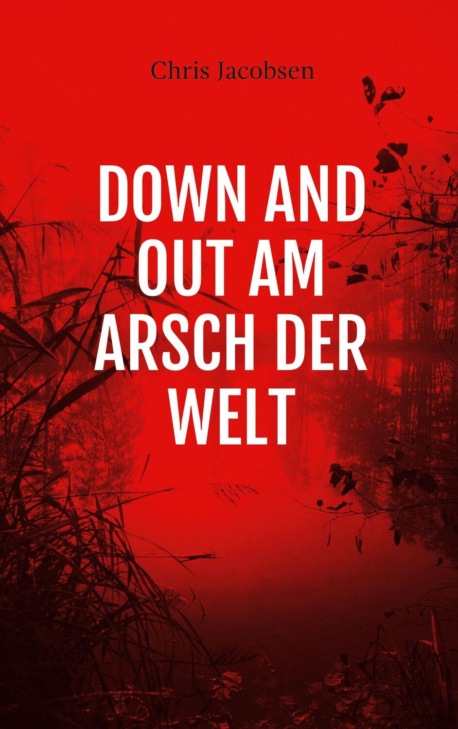 Cover: 9783751984614 | Down and out am Arsch der Welt | Chris Jacobsen | Taschenbuch | 334 S.