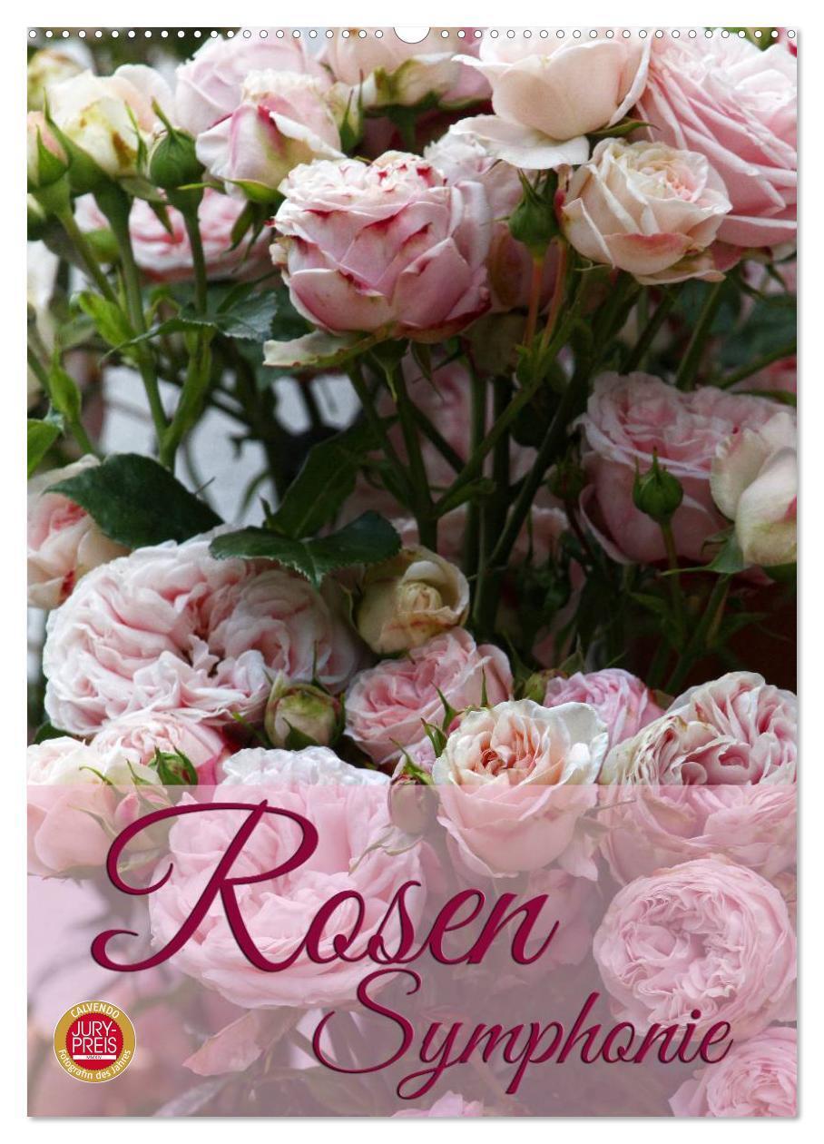 Cover: 9783457048658 | Rosen Symphonie (Wandkalender 2025 DIN A2 hoch), CALVENDO...