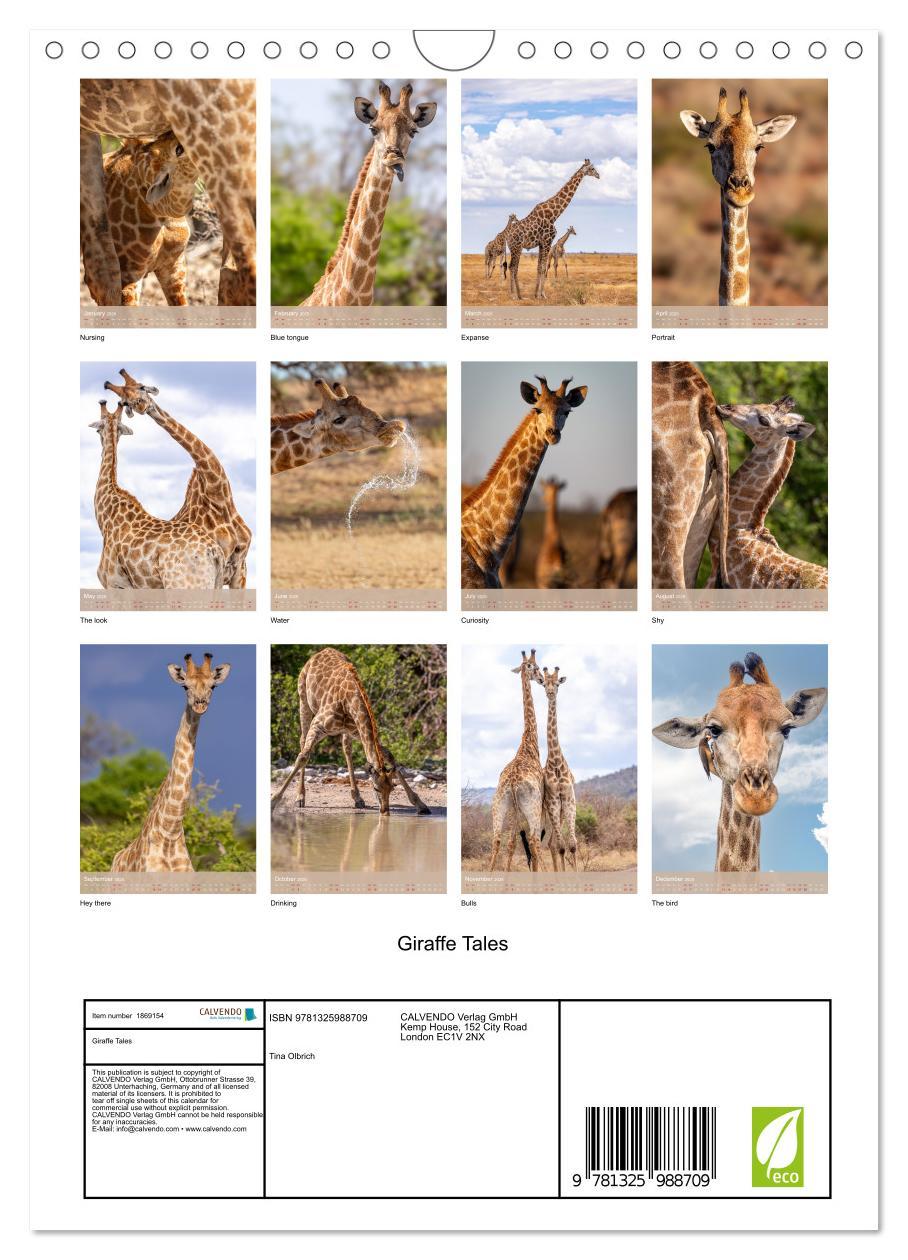 Bild: 9781325988709 | Giraffe Tales (Wall Calendar 2025 DIN A4 portrait), CALVENDO 12...