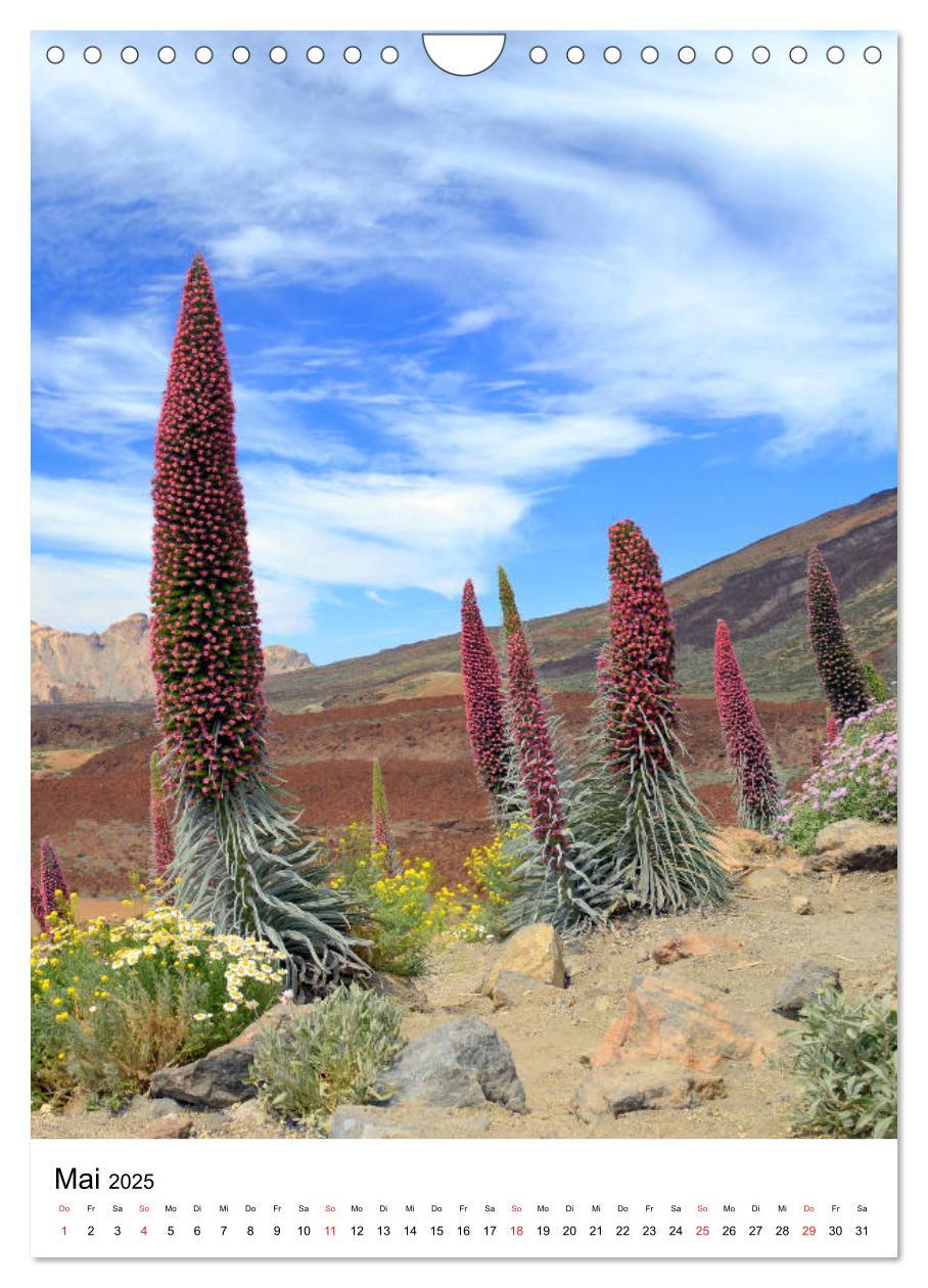 Bild: 9783457011966 | Teneriffa - Insel der Glückseligen (Wandkalender 2025 DIN A4 hoch),...