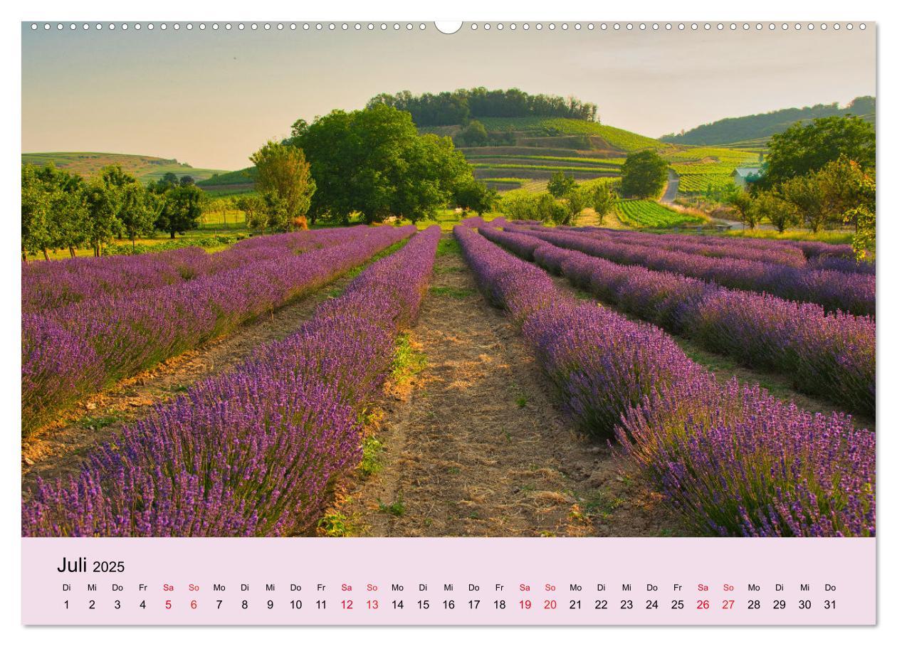 Bild: 9783383794261 | Augenblicke im Kaiserstuhl (Wandkalender 2025 DIN A2 quer),...