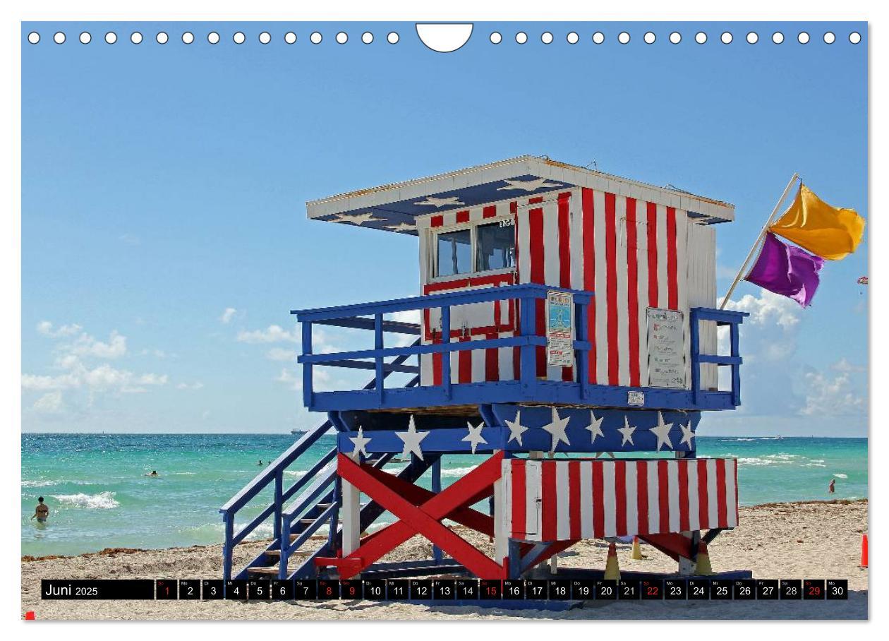 Bild: 9783435837533 | MIAMI (Wandkalender 2025 DIN A4 quer), CALVENDO Monatskalender | Damm