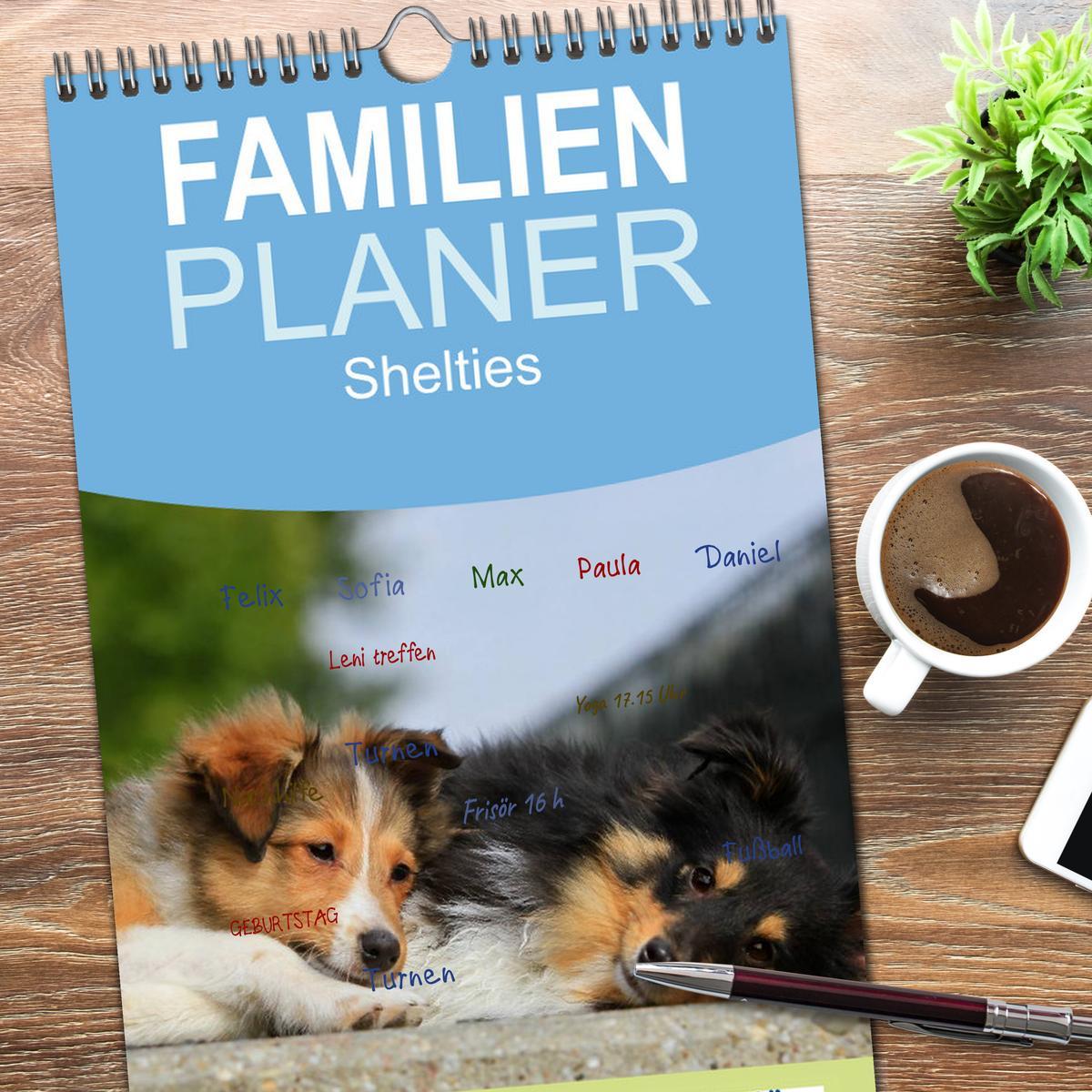 Bild: 9783457118955 | Familienplaner 2025 - Shelties 2025 mit 5 Spalten (Wandkalender, 21...