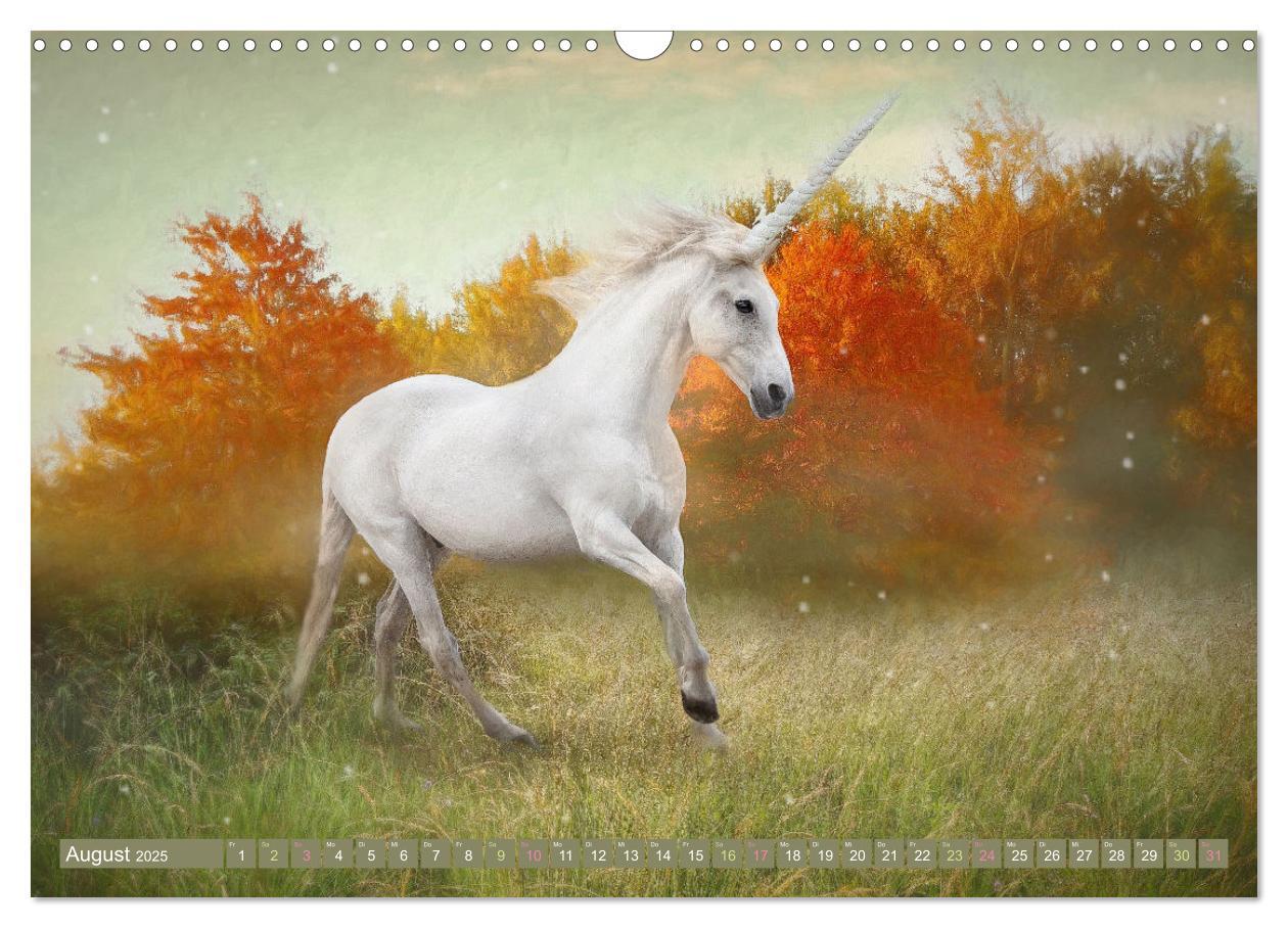 Bild: 9783383960000 | Einhorn Zauber - anmutige Einhornbilder (Wandkalender 2025 DIN A3...