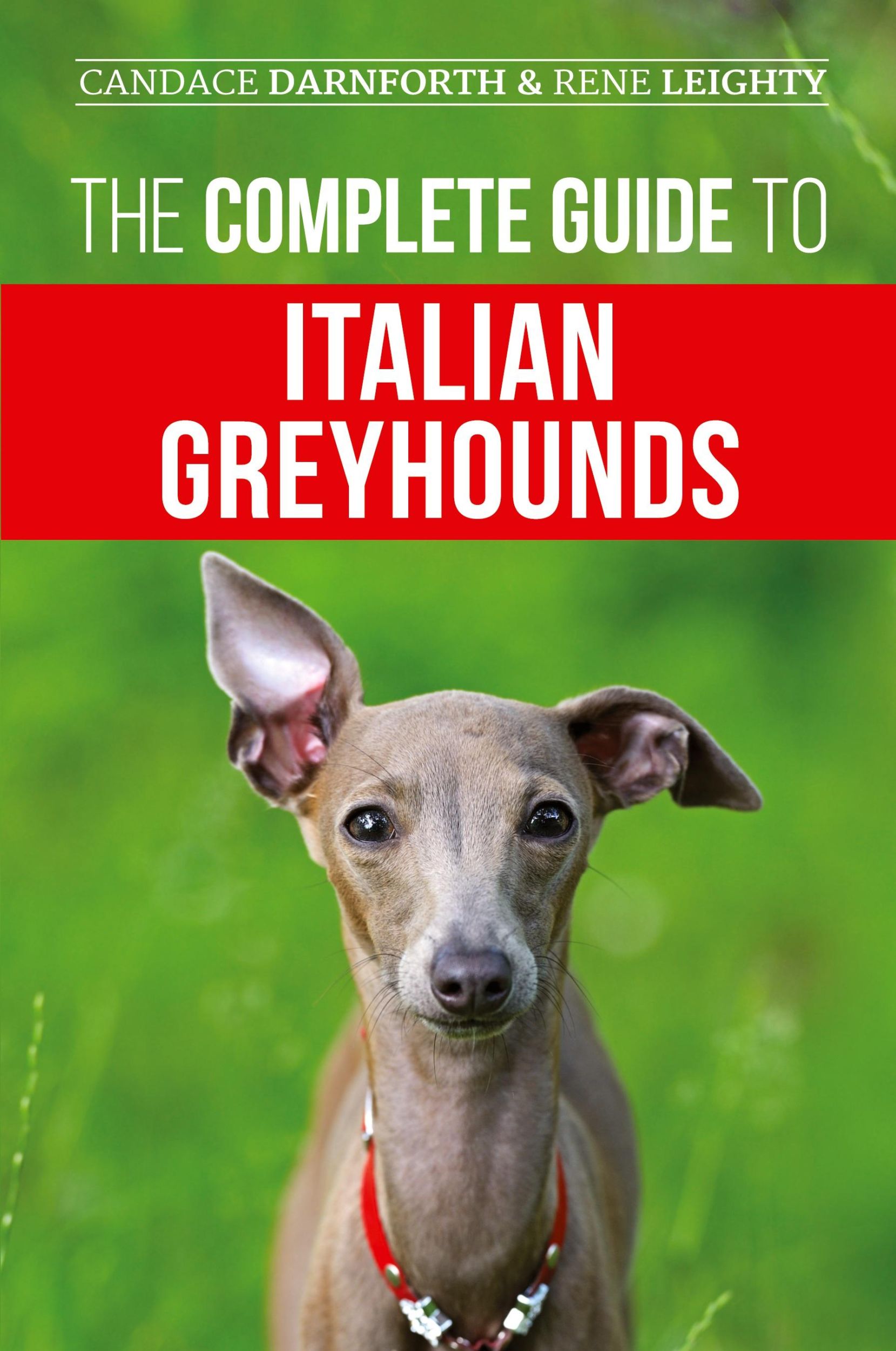 Cover: 9781954288065 | The Complete Guide to Italian Greyhounds | Rene Leighty (u. a.) | Buch