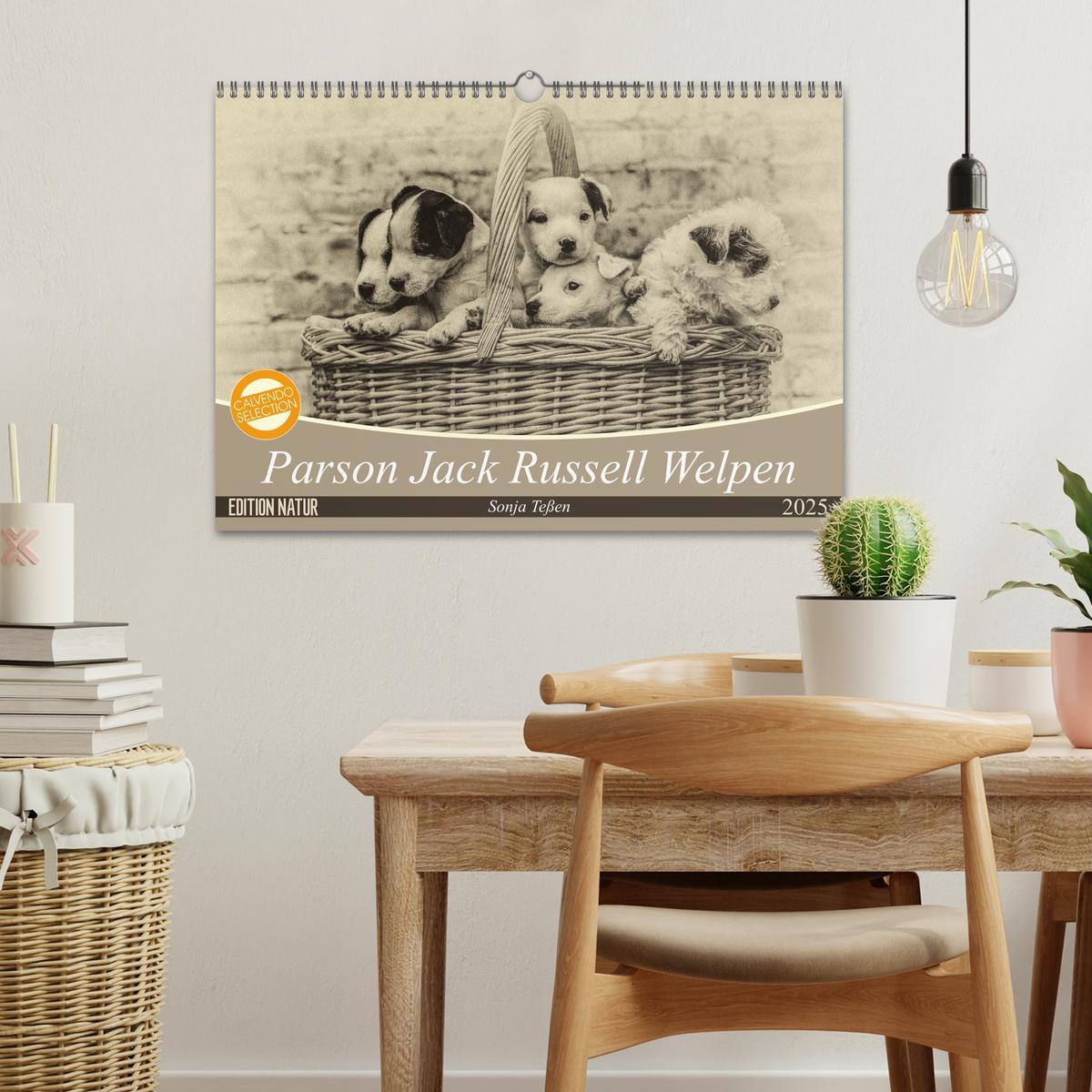 Bild: 9783435400539 | Parson Jack Russel Welpen (Wandkalender 2025 DIN A3 quer), CALVENDO...