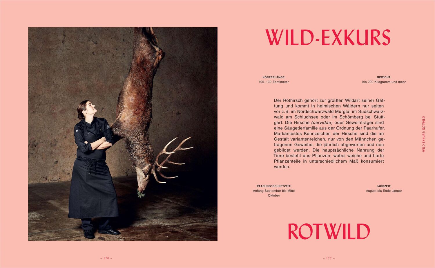 Bild: 9783517099170 | Fuchsteufelswild - Das Wildkochbuch | Viktoria Fuchs | Buch | 240 S.