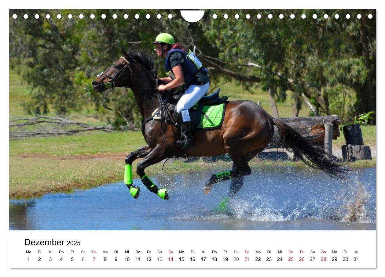 Bild: 9783435618507 | Vielseitigkeitsreiten (Wandkalender 2025 DIN A4 quer), CALVENDO...