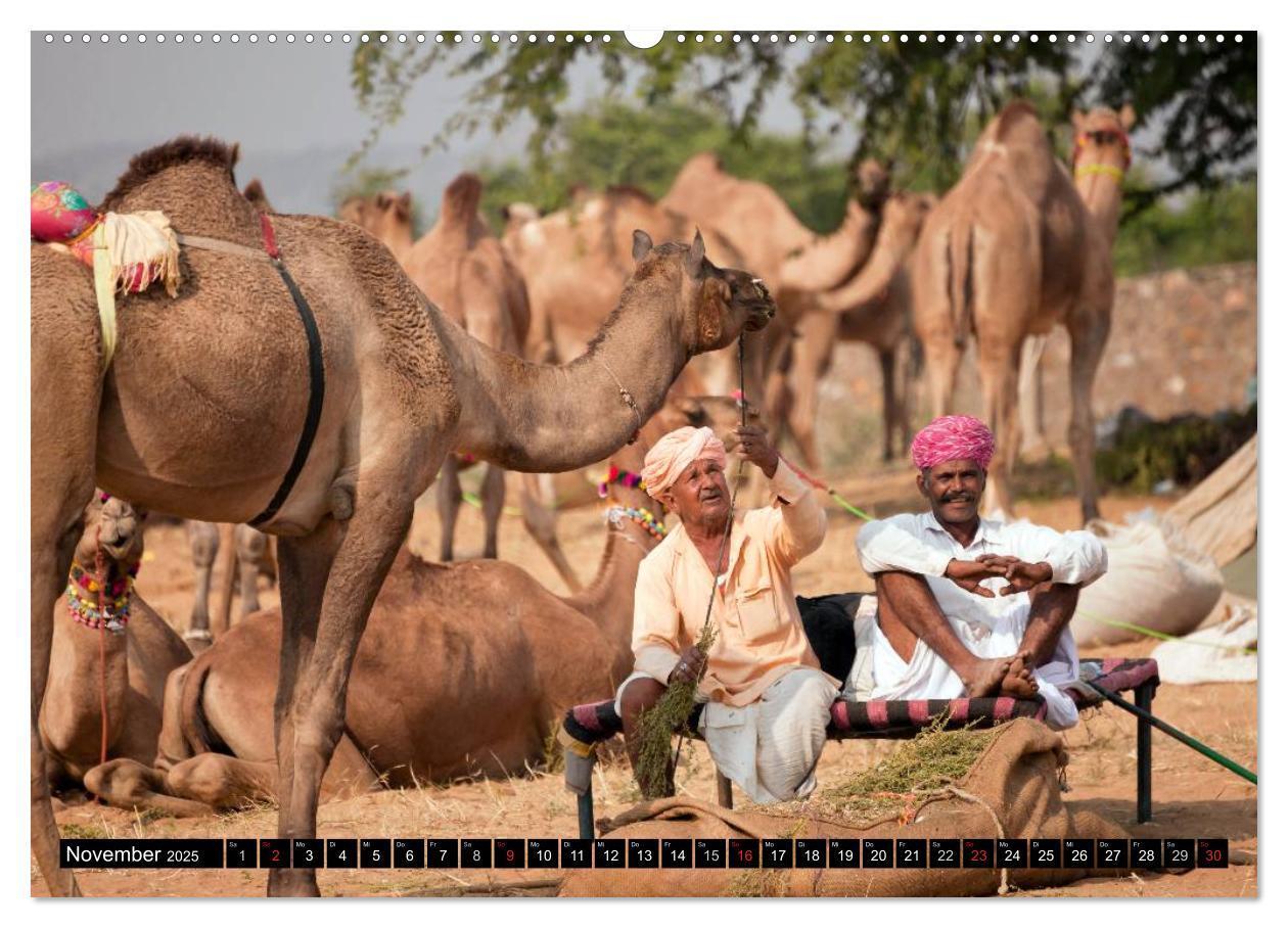 Bild: 9783435626922 | Indien - Rajasthan (Wandkalender 2025 DIN A2 quer), CALVENDO...