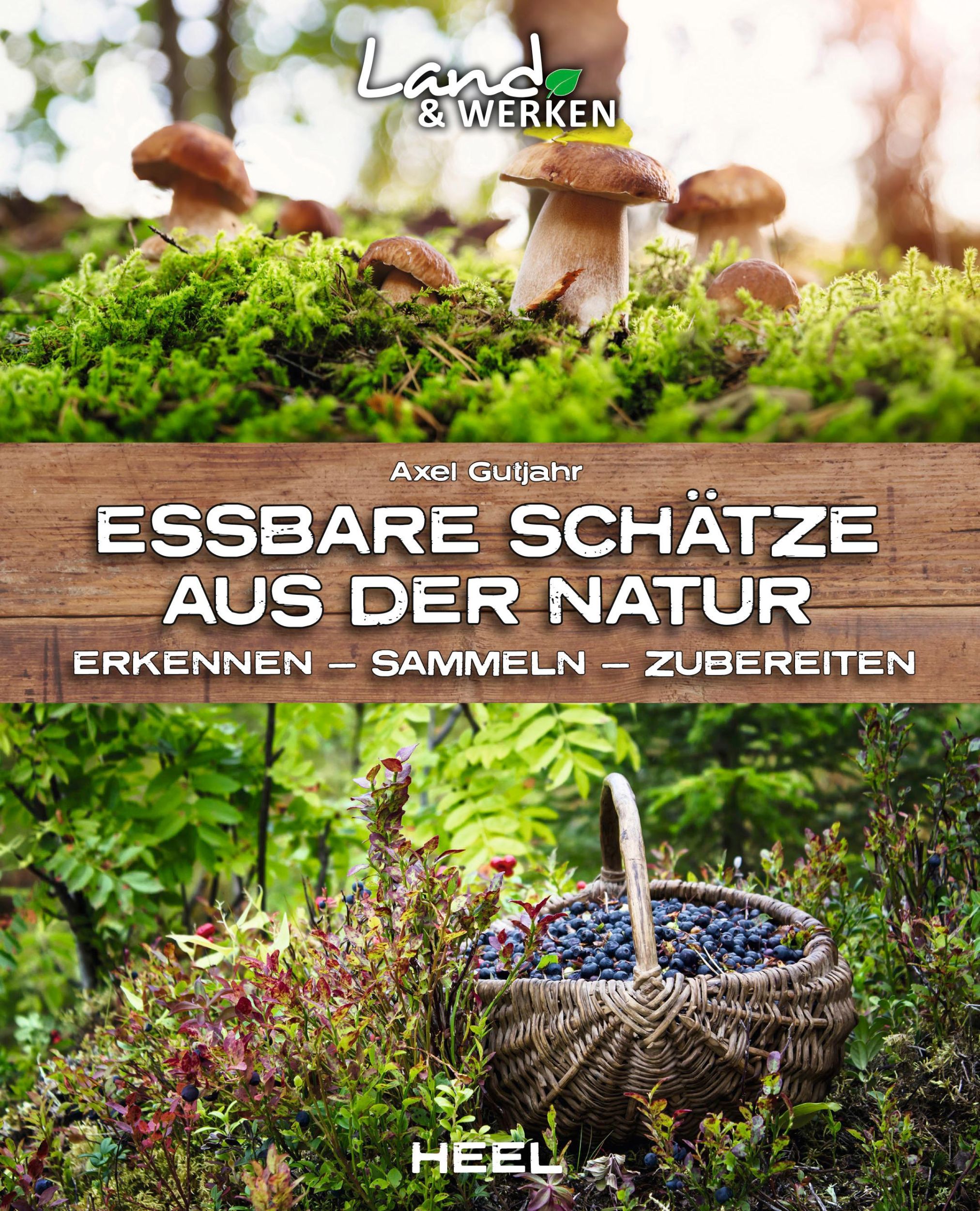 Cover: 9783966641746 | Essbare Schätze aus der Natur: Erkennen - Sammeln - Zubereiten | Buch