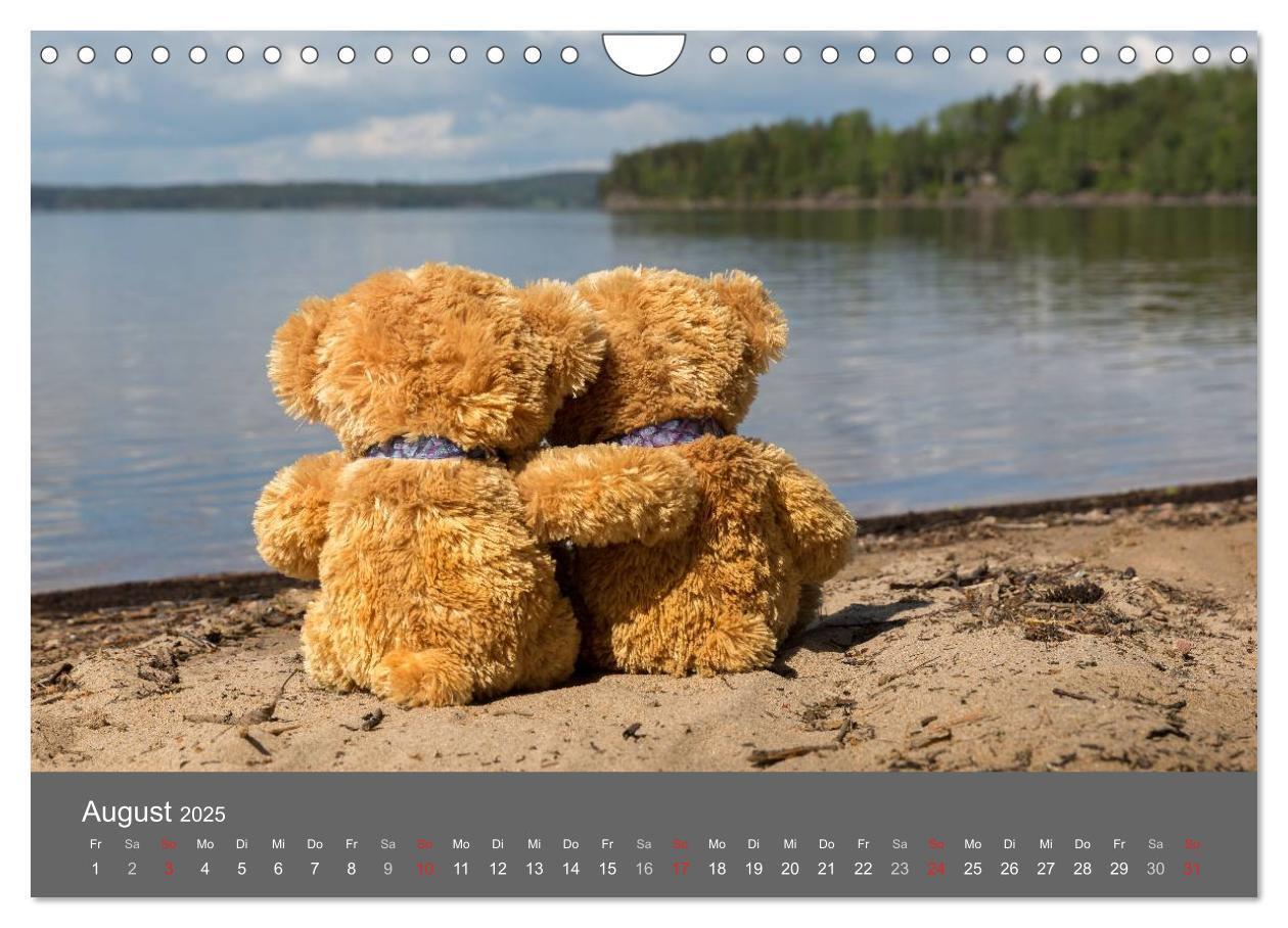 Bild: 9783435503414 | Travelling Teddy 2025 (Wandkalender 2025 DIN A4 quer), CALVENDO...