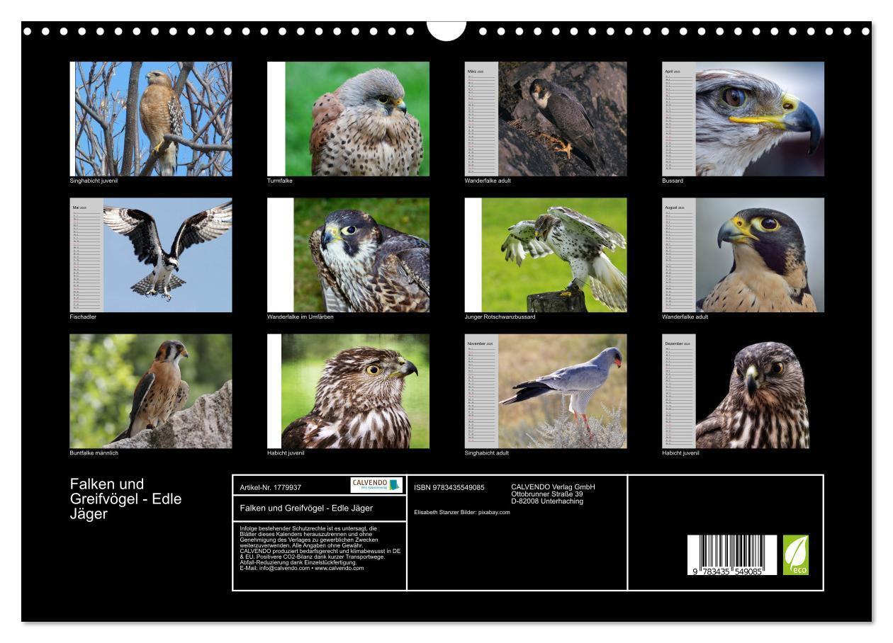 Bild: 9783435549085 | Falken und Greifvögel - Edle Jäger (Wandkalender 2025 DIN A3 quer),...