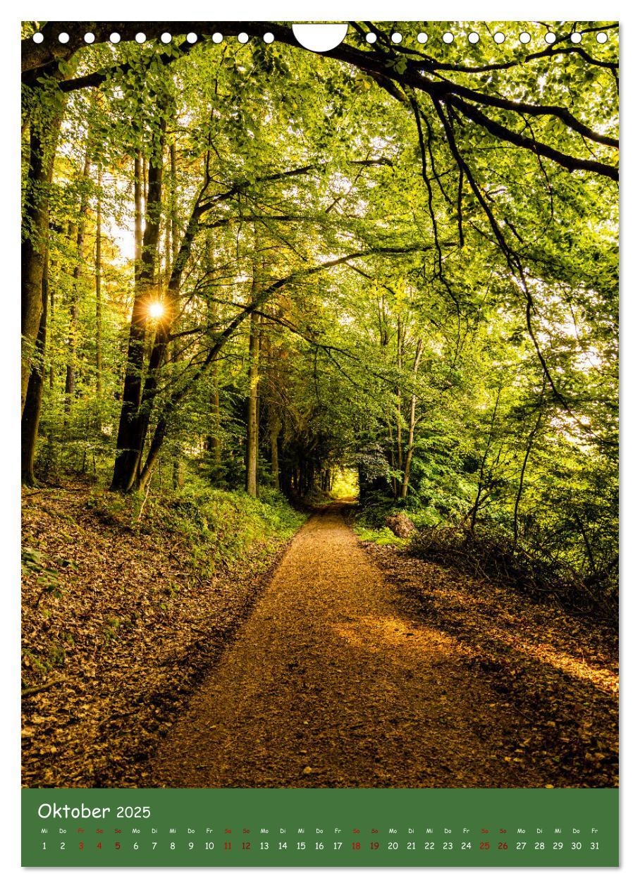 Bild: 9783435862481 | Ich bin dann mal im Wald (Wandkalender 2025 DIN A4 hoch), CALVENDO...