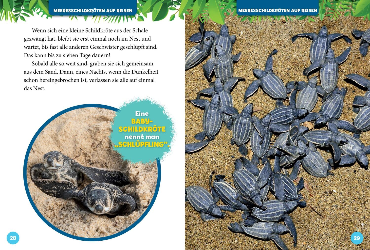 Bild: 9788863126310 | 5-Minuten-Geschichten Tierbabys | Ulrike Brandhorst | Buch | 208 S.