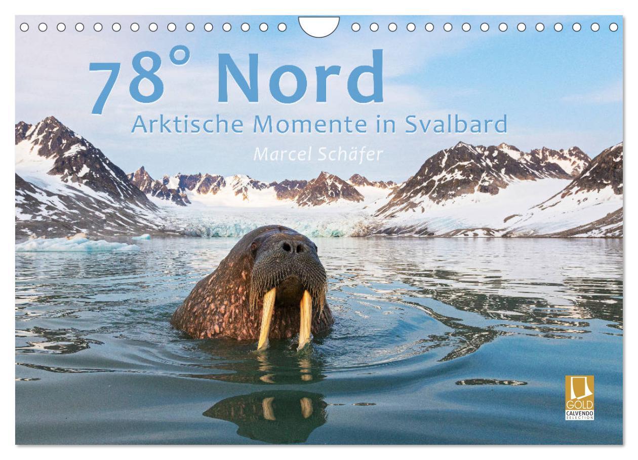 Cover: 9783435182633 | 78° Nord - Arktische Momente in Svalbard (Wandkalender 2025 DIN A4...