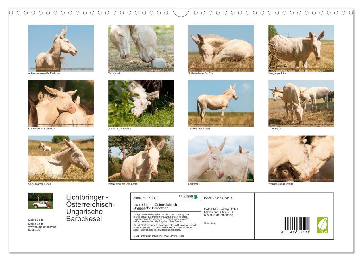 Bild: 9783435180578 | Lichtbringer - Österreichisch-Ungarische Barockesel (Wandkalender...