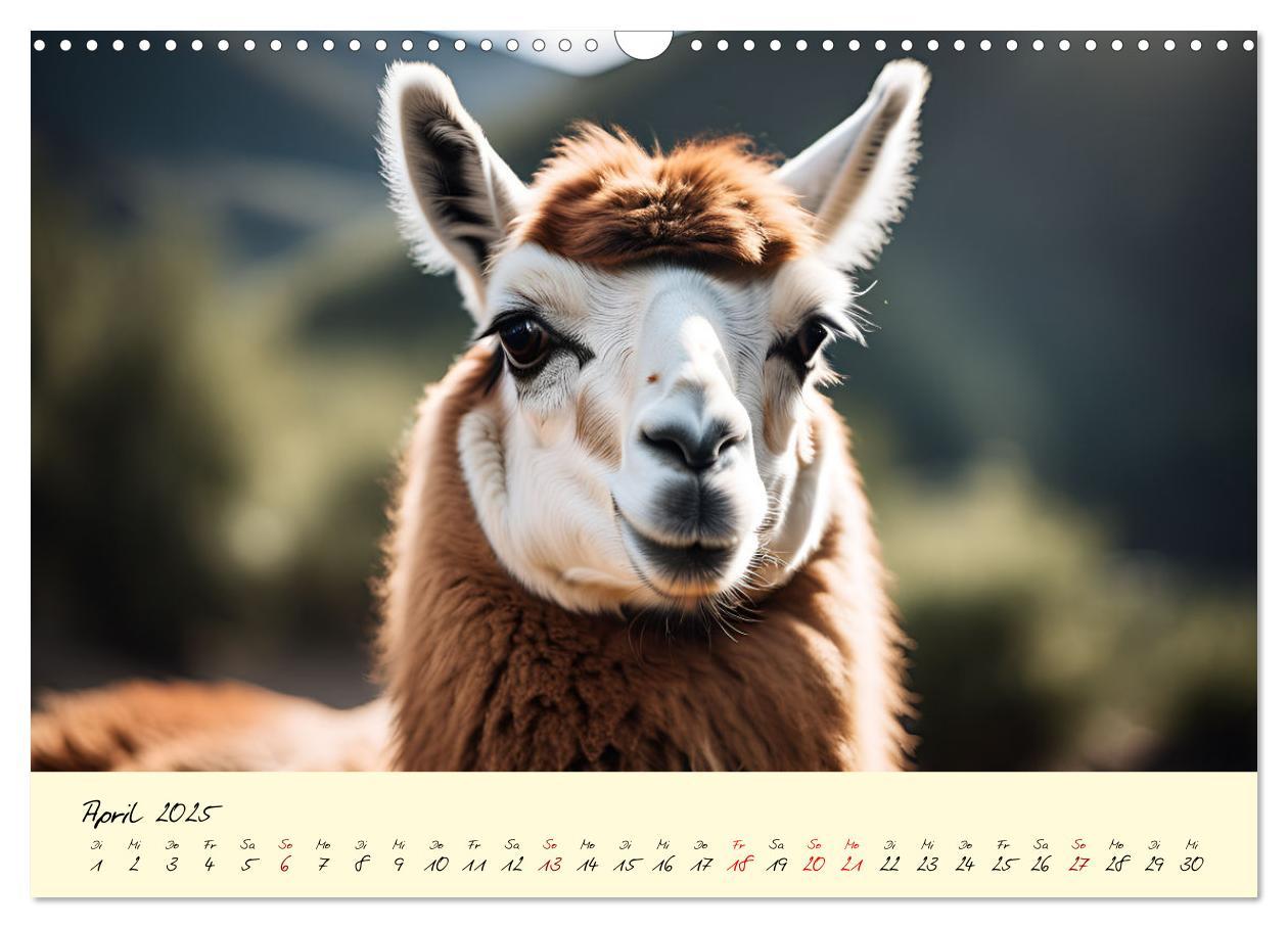 Bild: 9783457189399 | Alpakas, die sanften Andenbewohner (Wandkalender 2025 DIN A3 quer),...