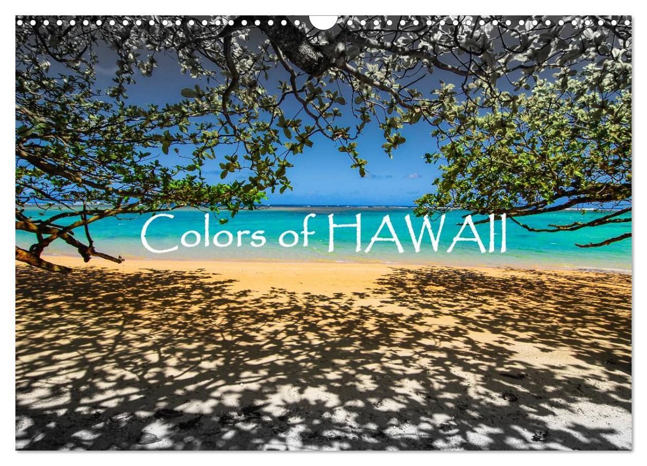 Cover: 9783435794683 | Colors of HAWAII (Wandkalender 2025 DIN A3 quer), CALVENDO...