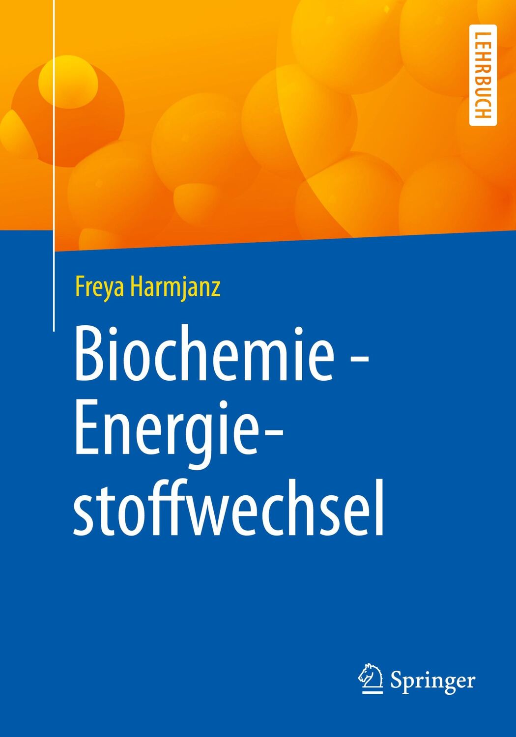 Cover: 9783662602713 | Biochemie - Energiestoffwechsel | Freya Harmjanz | Taschenbuch | xiii